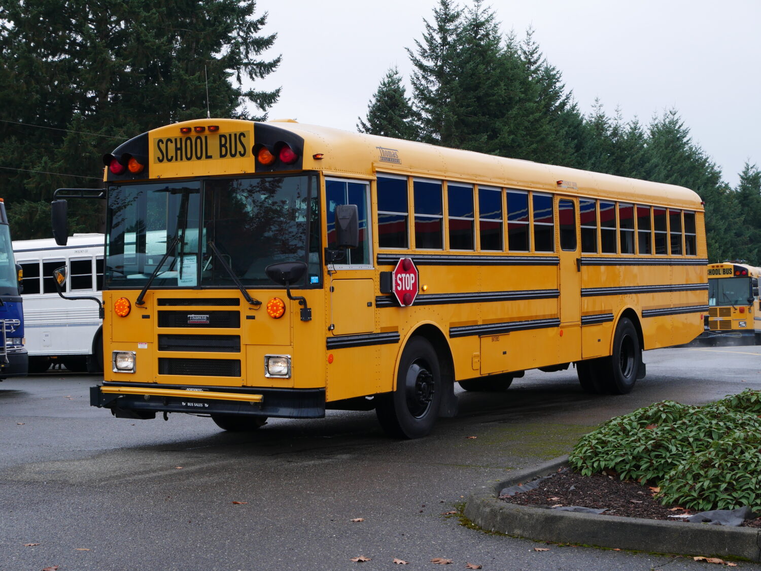 2011 Thomas Saf-T-Liner FE 78 Passenger School Bus - B31922 - Image 2