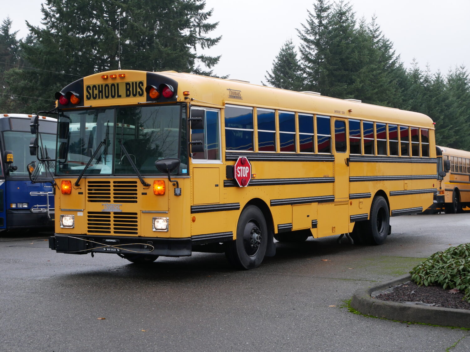 2004 Thomas Saf-T-Liner FE 78 Passenger School Bus - B34641 - Image 2