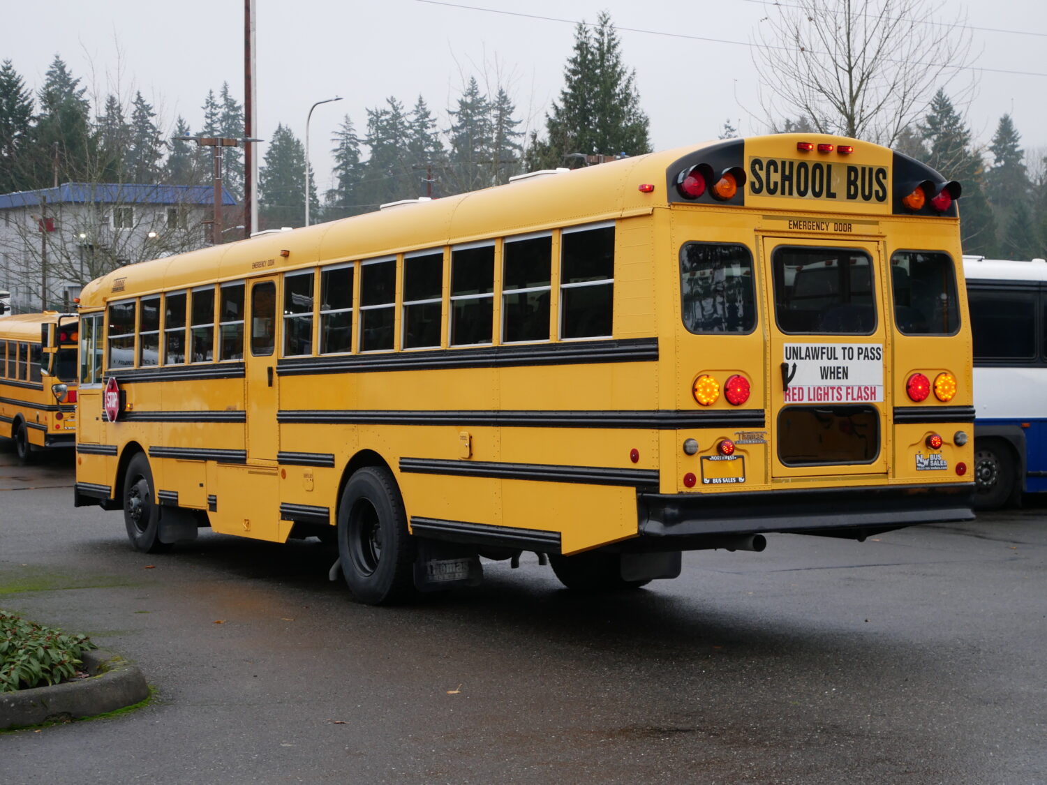 2004 Thomas Saf-T-Liner FE 78 Passenger School Bus - B34641 - Image 4