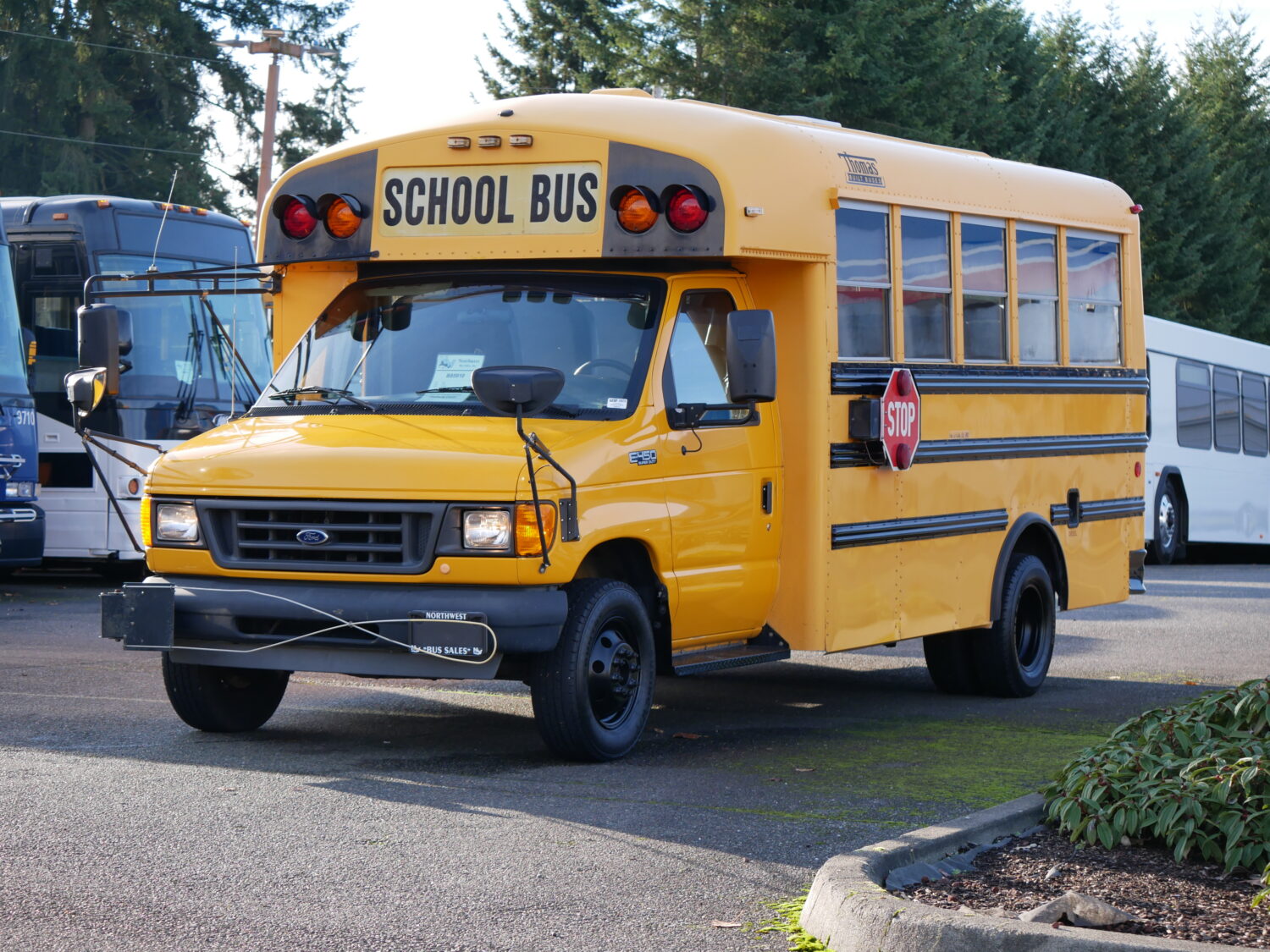2003 Thomas Minotaur 14 Passenger Type-A School Bus - B85910 - Image 2