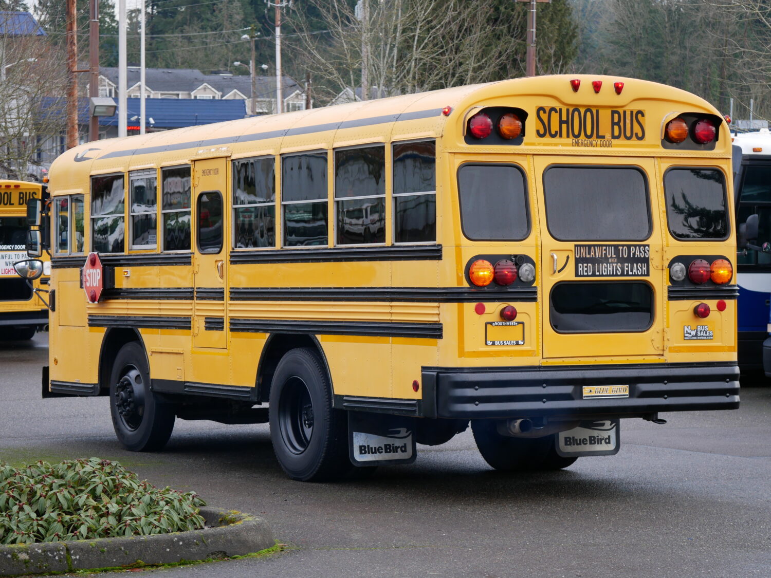 1999 Bluebird TC2000 48 Passenger School Bus - B87735 - Image 4