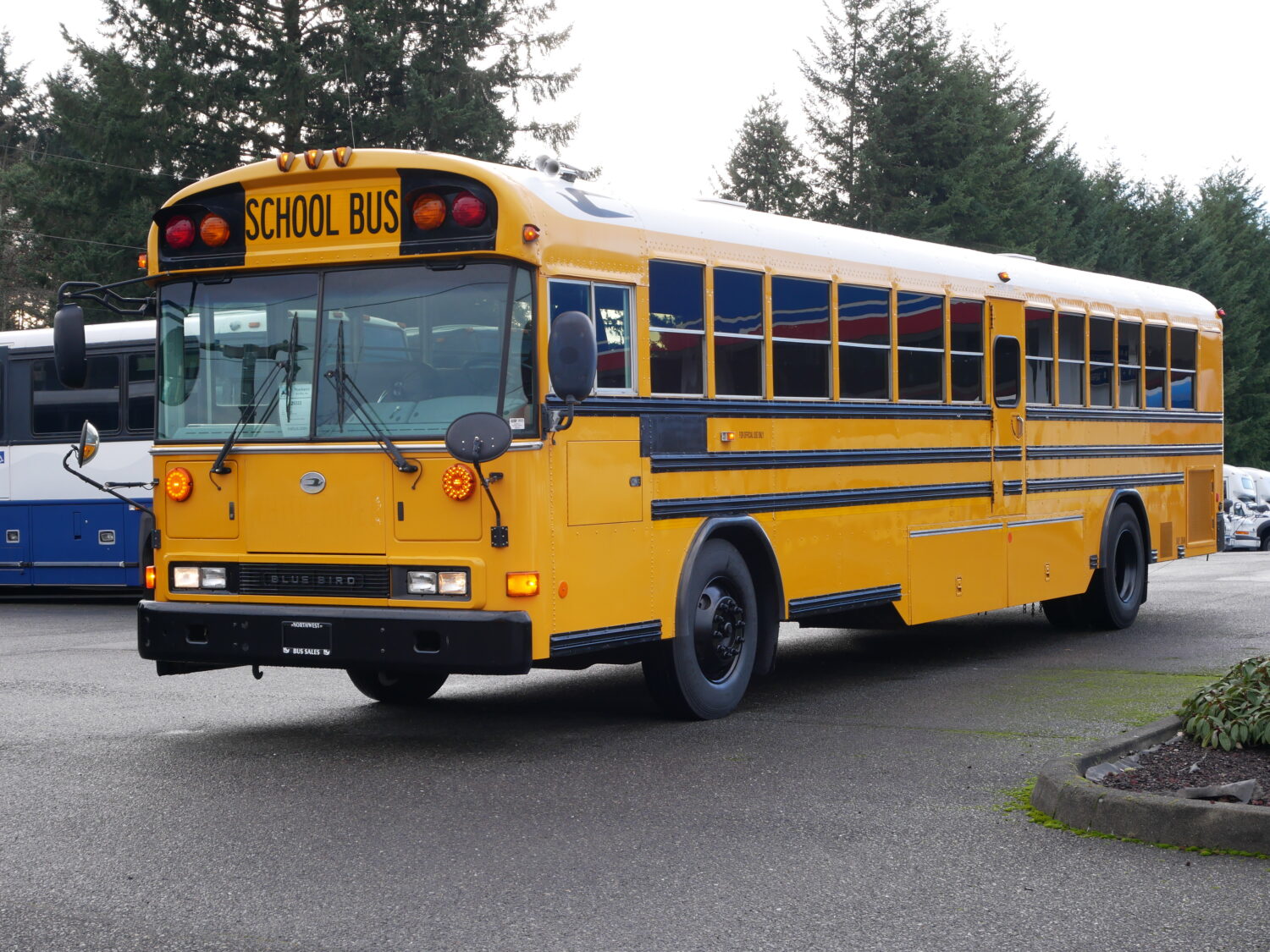 2005 Blue Bird All American 78 Passenger School Bus - B29333 - Image 2