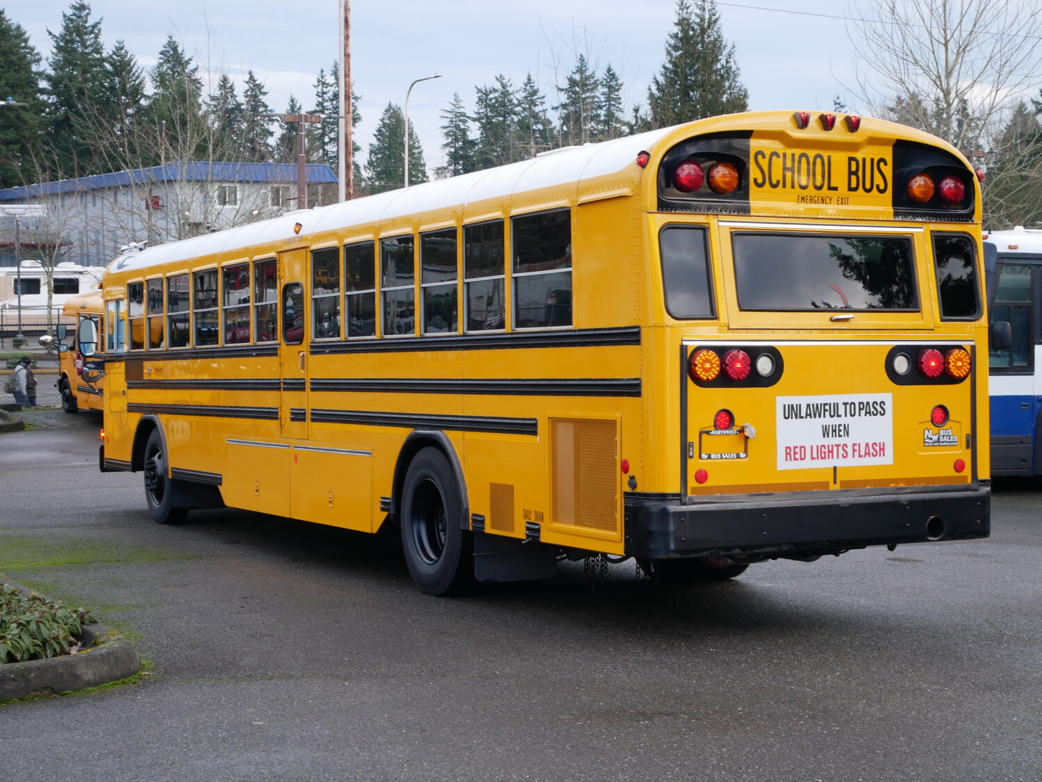 2005 Blue Bird All American 78 Passenger School Bus - B29333 - Image 4