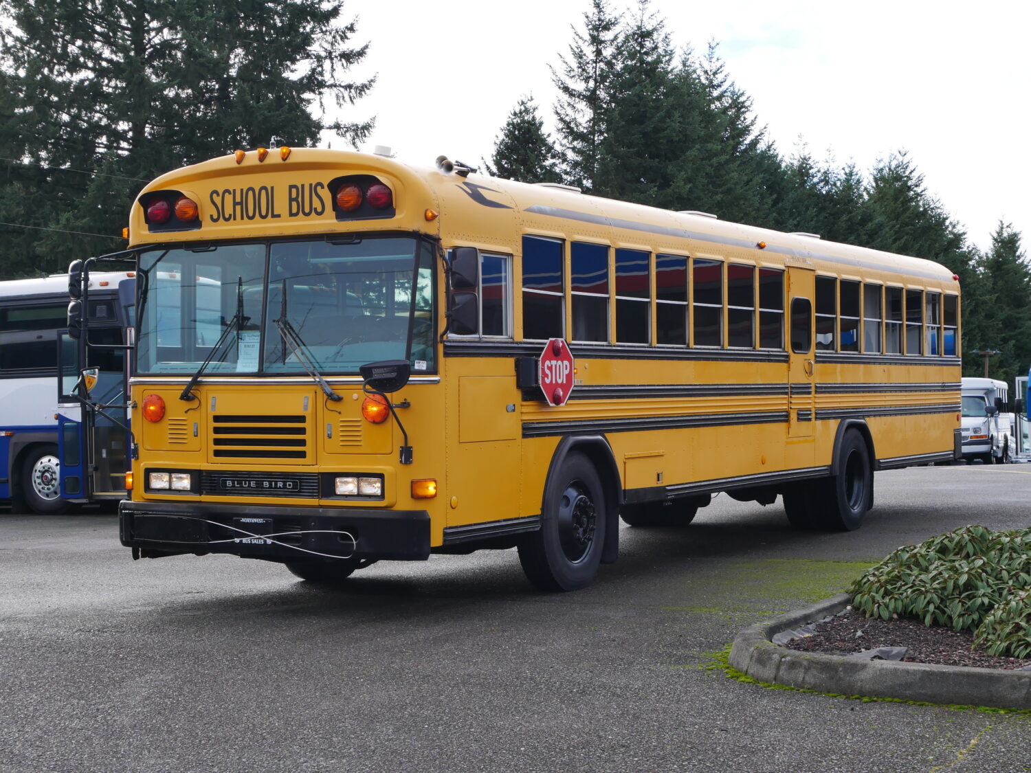 2004 Blue Bird All American 84 Passenger School Bus - B16137 - Image 2