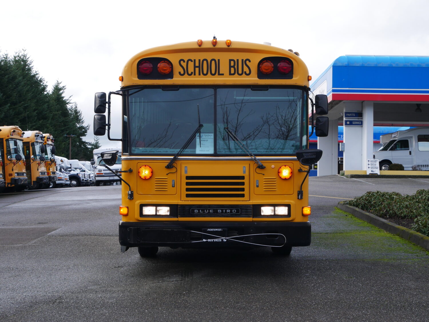 2004 Blue Bird All American 84 Passenger School Bus - B16137 - Image 12