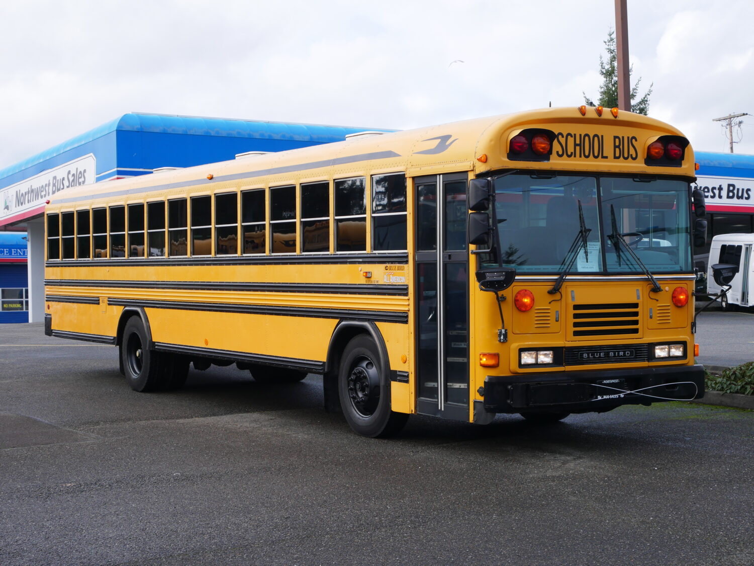 2004 Blue Bird All American 84 Passenger School Bus - B16137