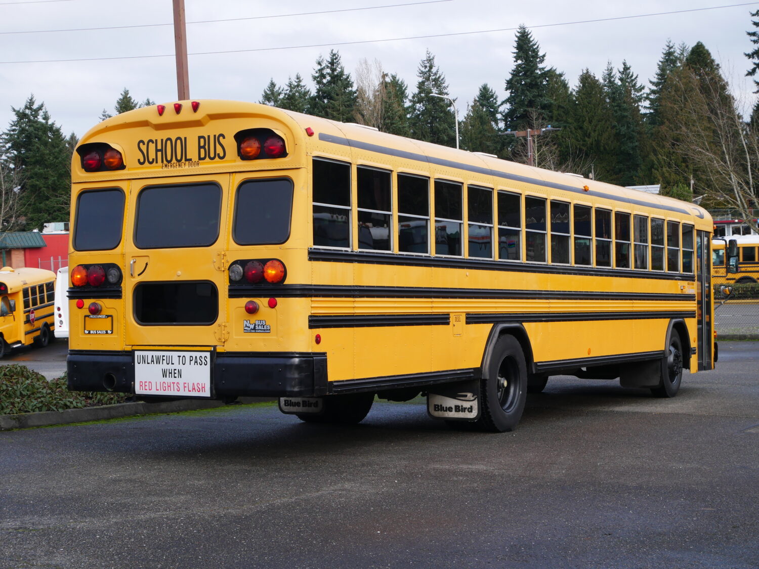 2004 Blue Bird All American 84 Passenger School Bus - B16137 - Image 3