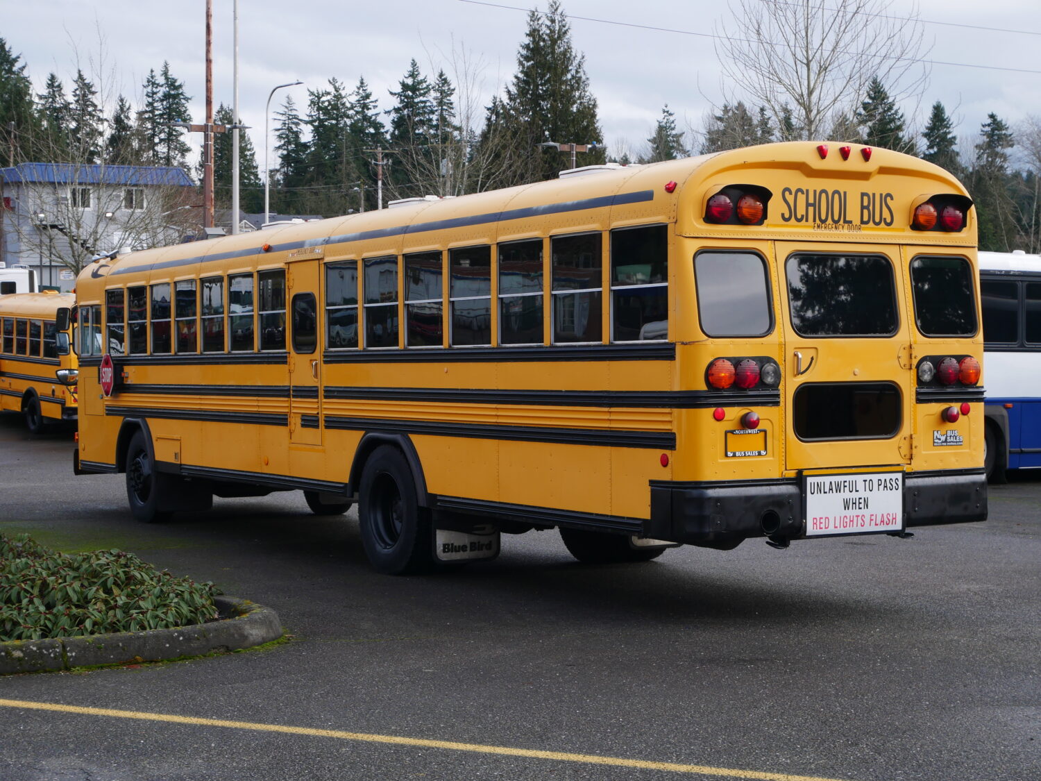 2004 Blue Bird All American 84 Passenger School Bus - B16137 - Image 4