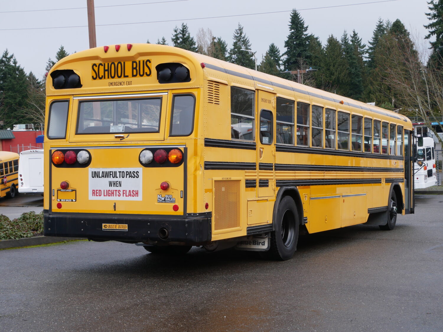 2000 Blue Bird All American 78 Passenger School Bus - B87865 - Image 3