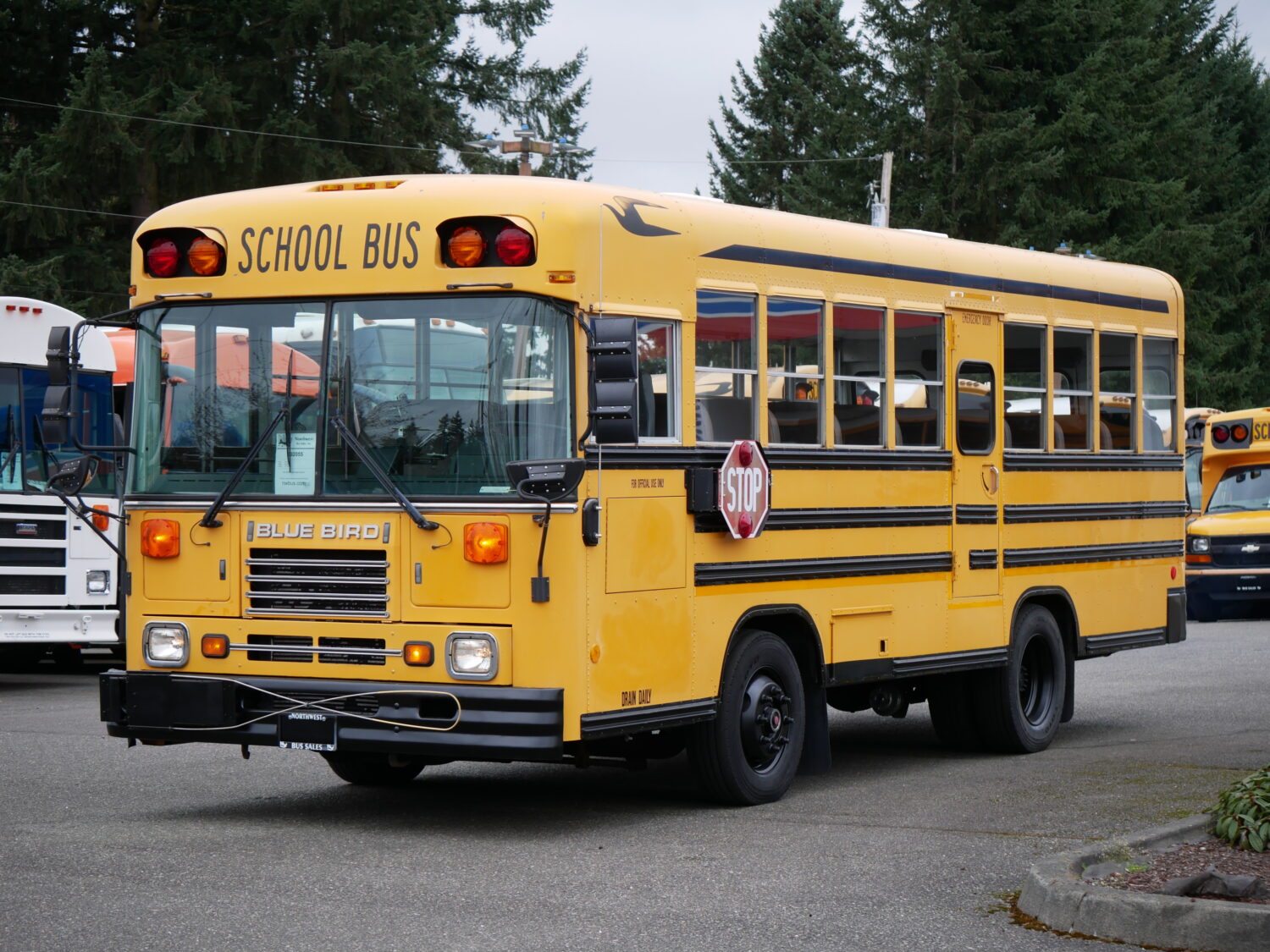 2000 Blue Bird TC-1000 42 Passenger School Bus - B92055 - Image 2