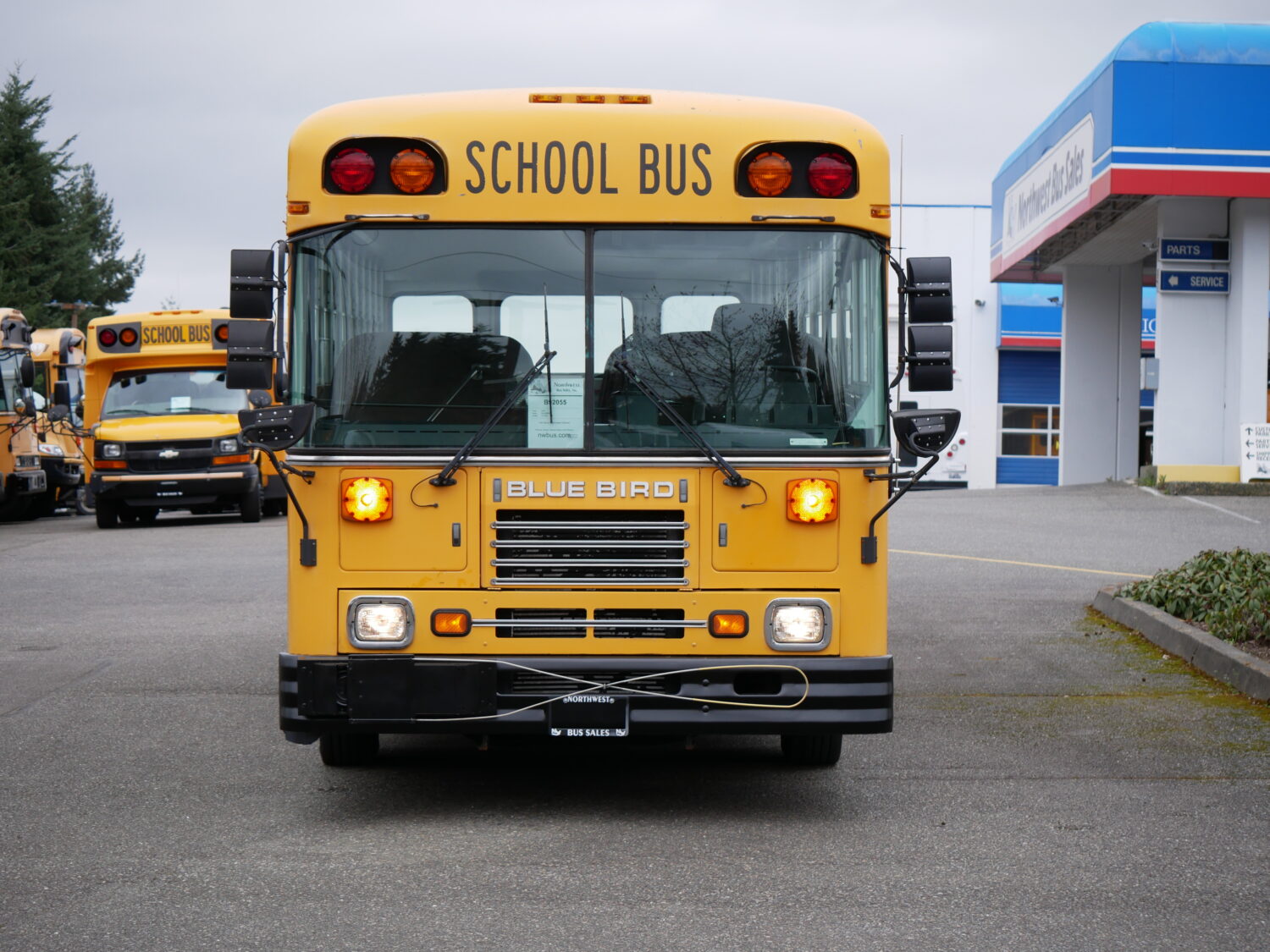 2000 Blue Bird TC-1000 42 Passenger School Bus - B92055 - Image 12