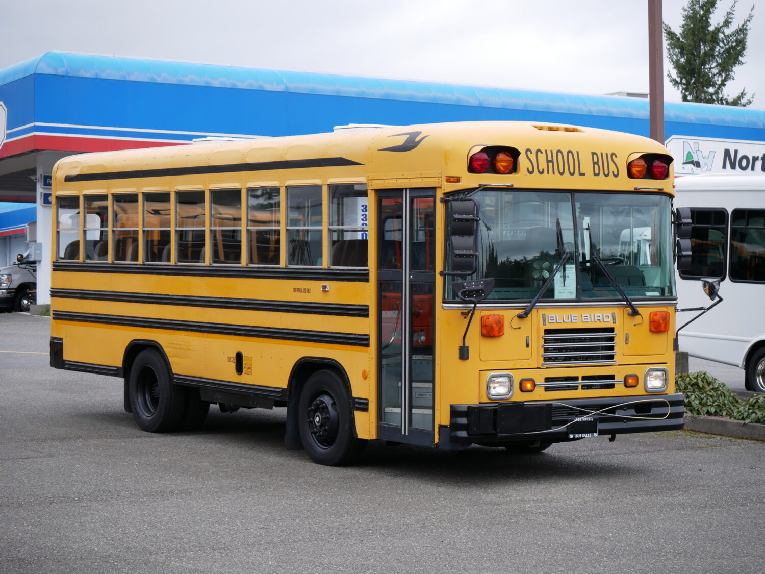 2000 Blue Bird TC-1000 42 Passenger School Bus - B92055
