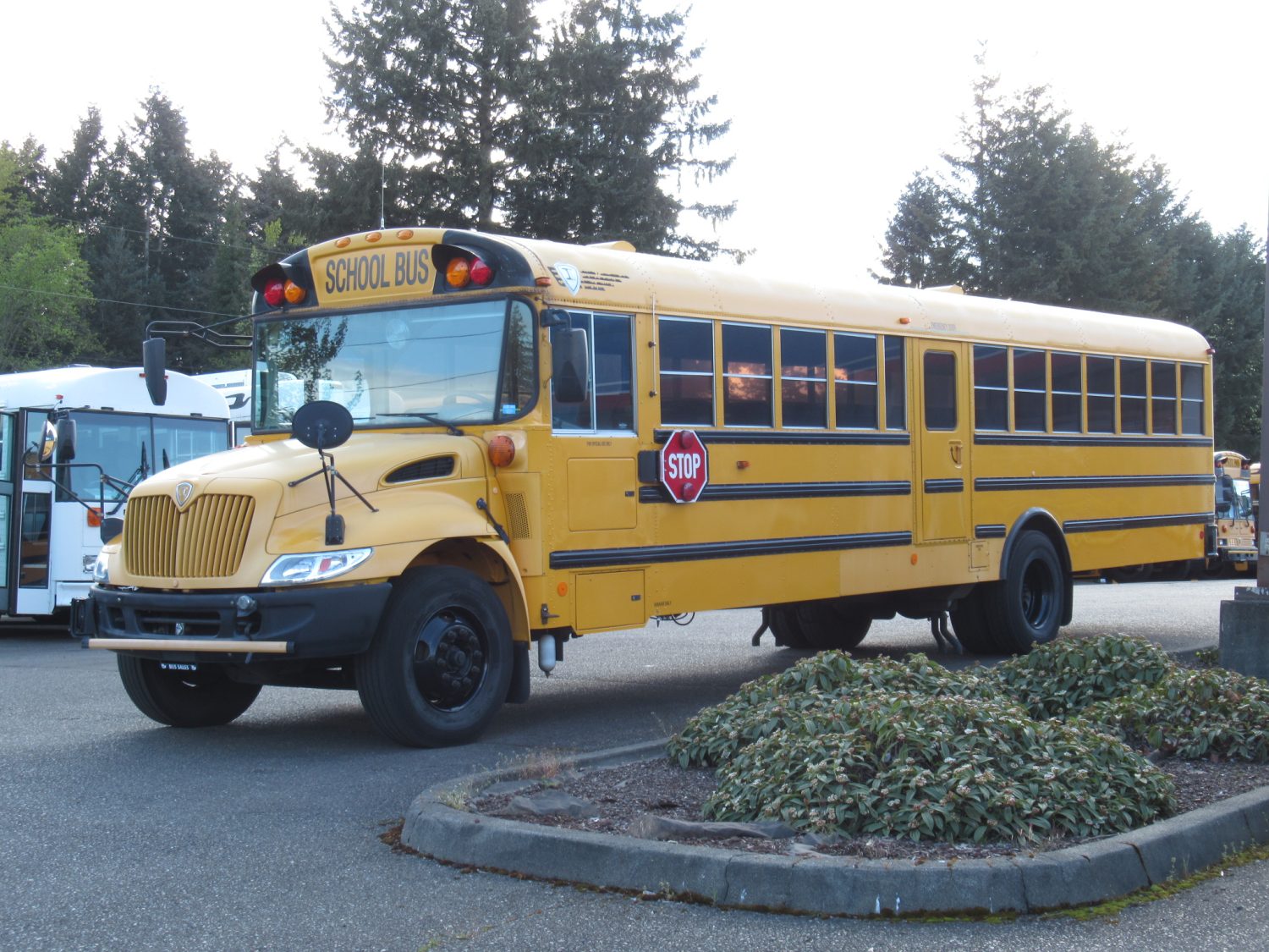 2005 IC CE300 77 Pass School Bus - B87787 - Image 2