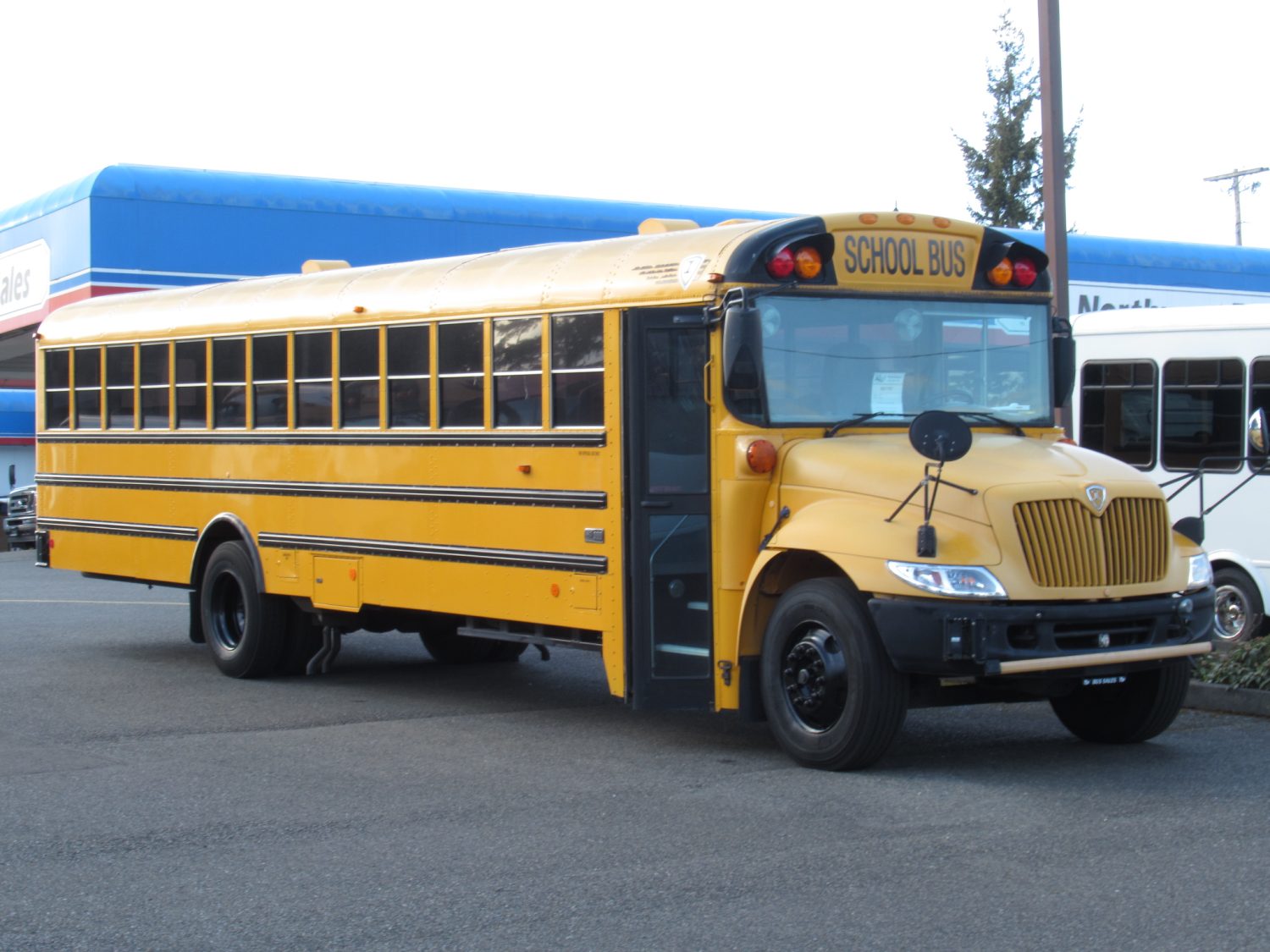 2005 IC CE300 77 Pass School Bus - B87787