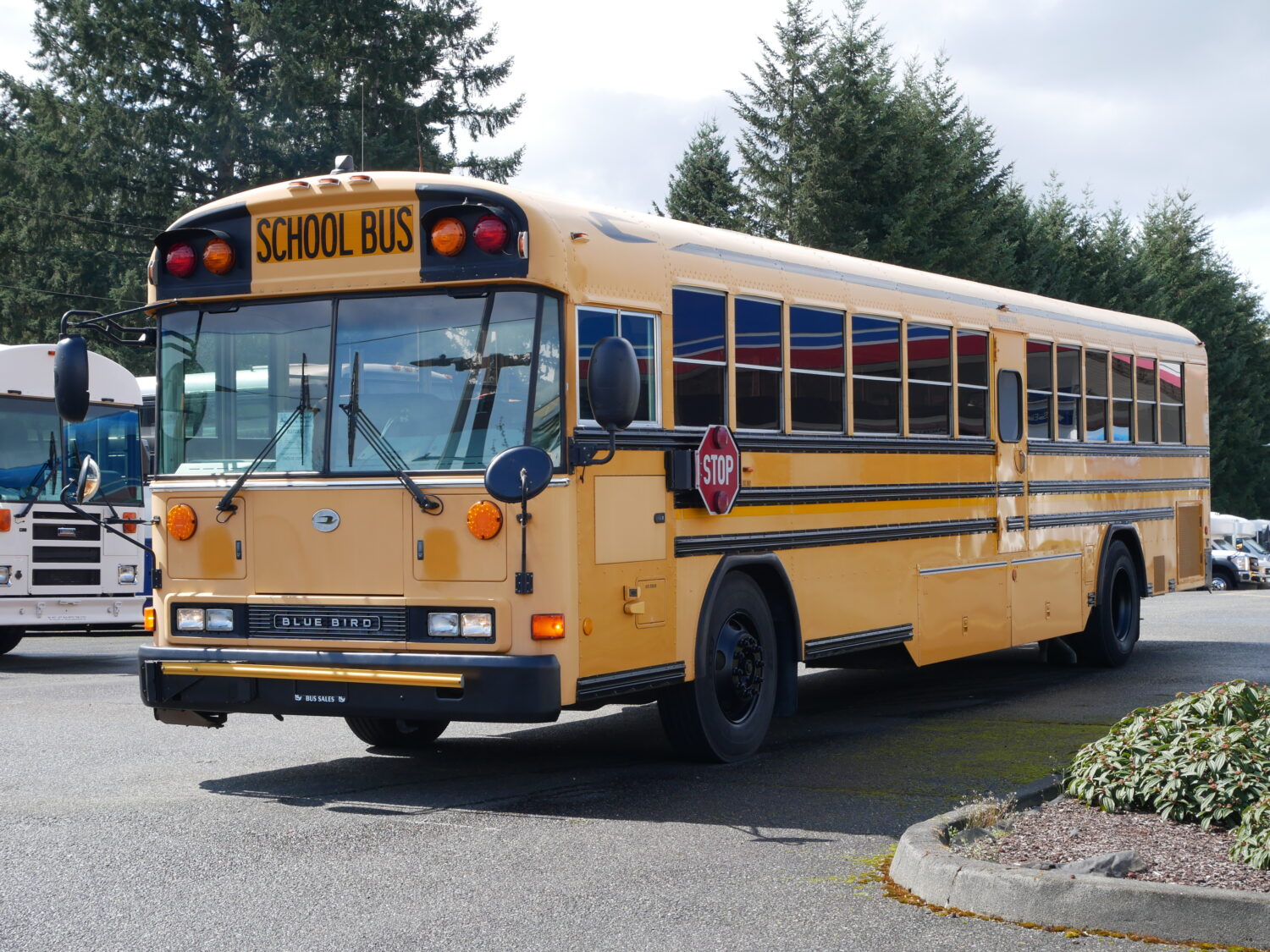2006 Blue Bird All American 84 Passenger School Bus - B37297 - Image 2