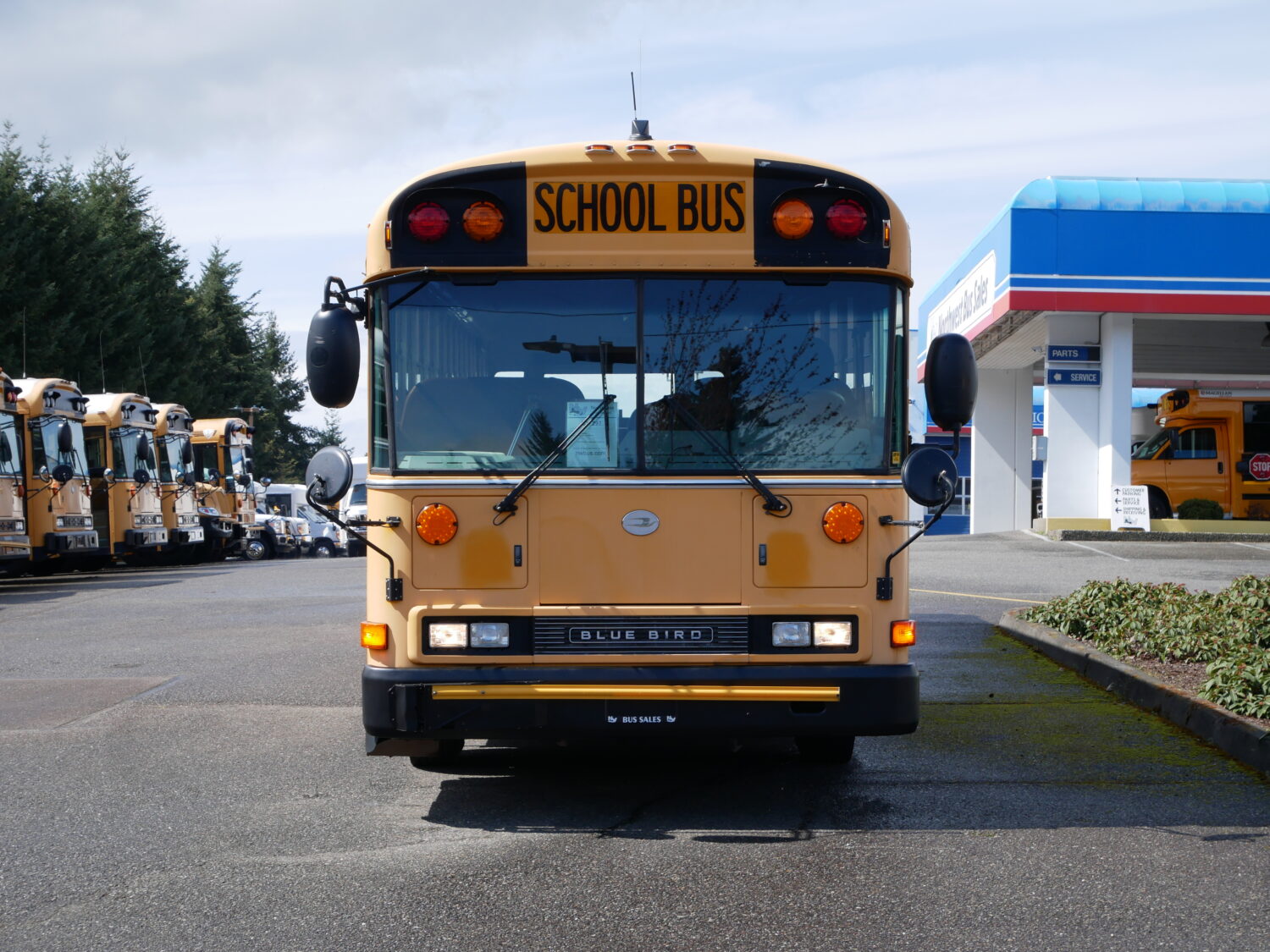 2006 Blue Bird All American 84 Passenger School Bus - B37297 - Image 12