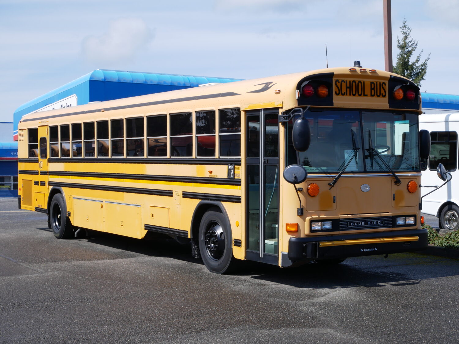 2006 Blue Bird All American 84 Passenger School Bus - B37297