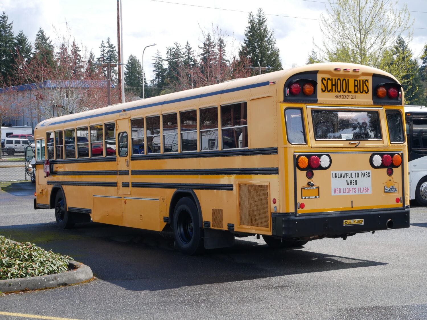2006 Blue Bird All American 84 Passenger School Bus - B37297 - Image 4