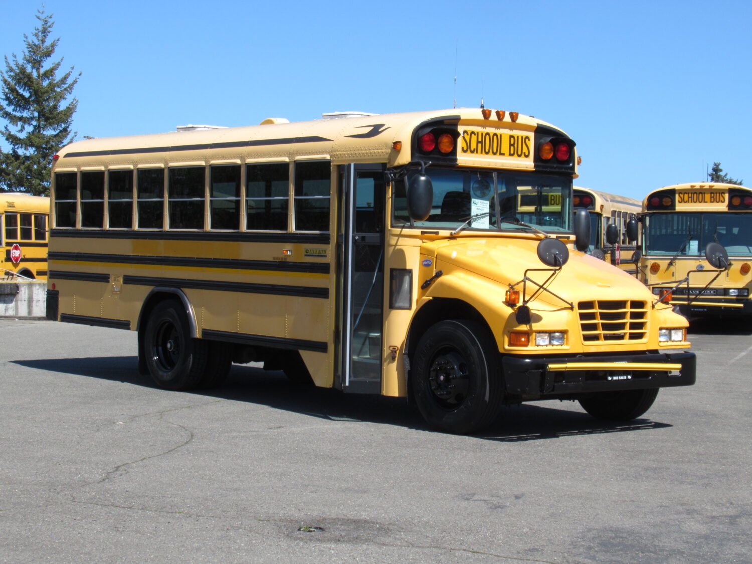 2006 Blue Bird Vision 7 Row School Bus - B29426
