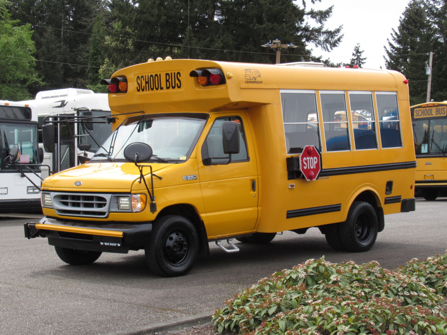 2002 Ford Girardin 20 Passenger School Bus - B20952 - Image 2