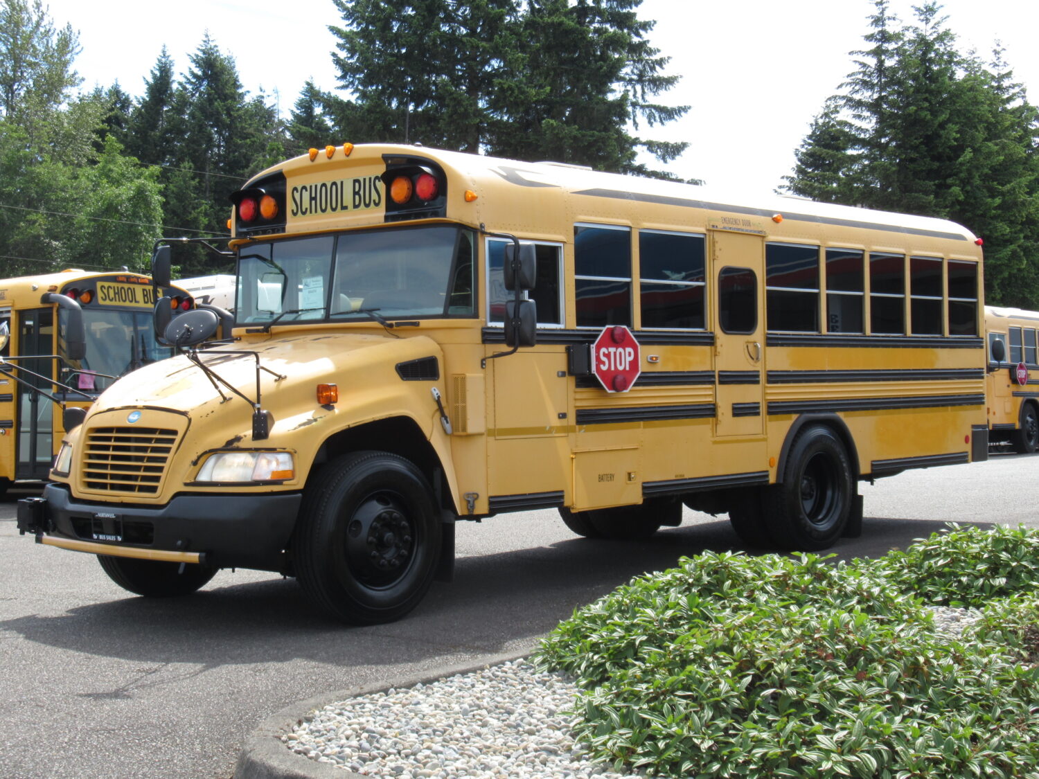 2009 Blue Bird Vision 7 Row School Bus - B54574 - Image 2