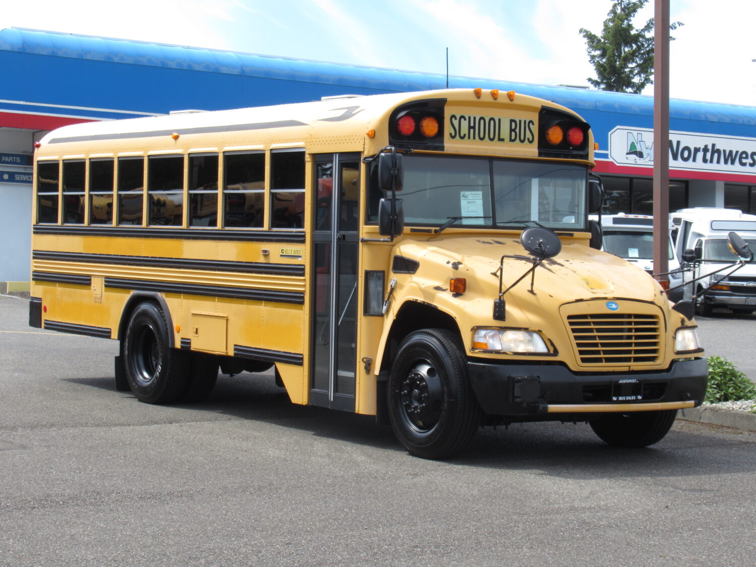 2009 Blue Bird Vision 7 Row School Bus - B54574