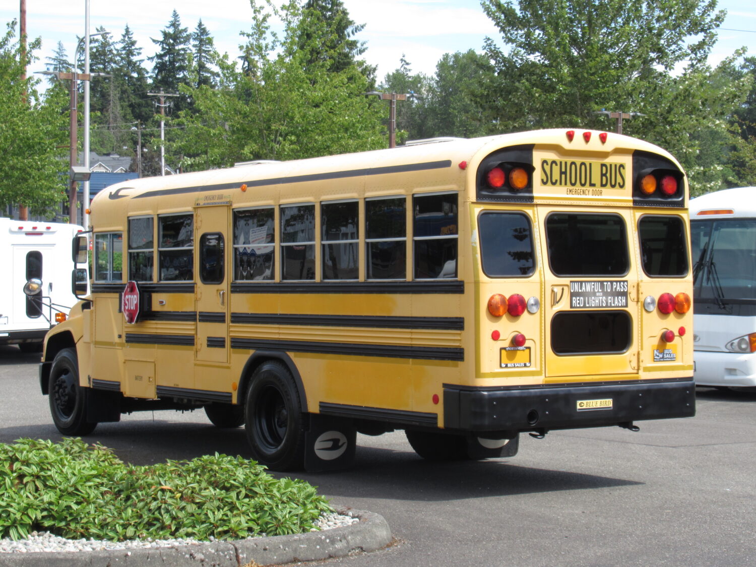 2009 Blue Bird Vision 7 Row School Bus - B54574 - Image 4