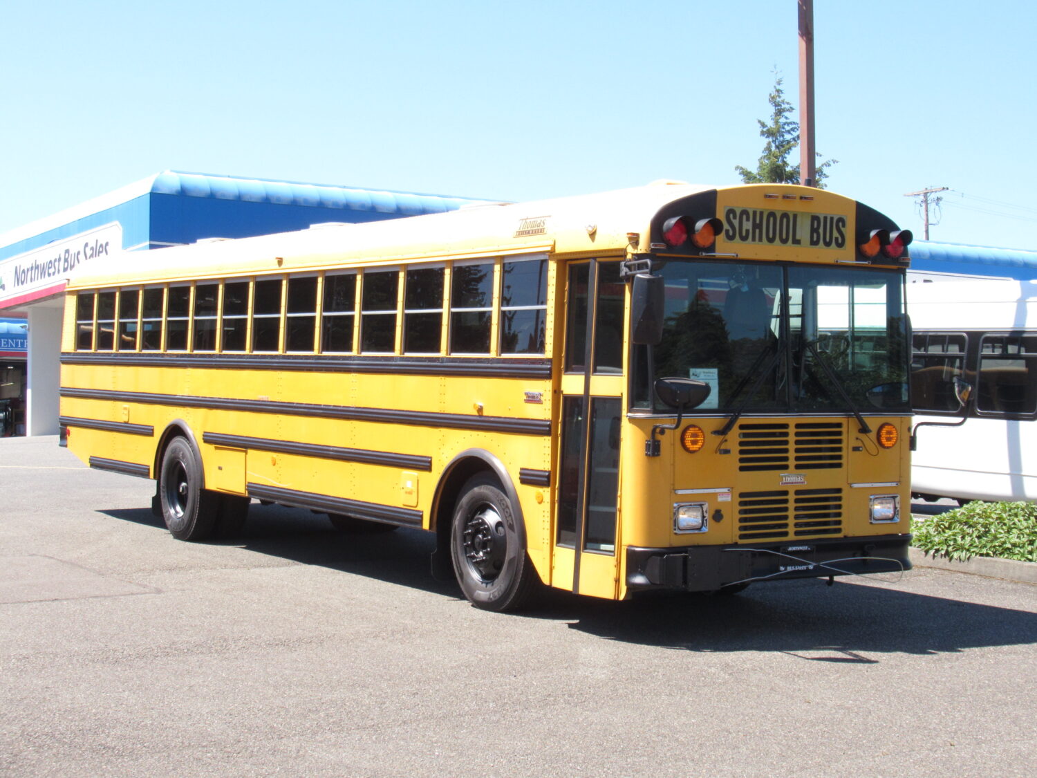 2006 Thomas Saf-T-Liner 13 Row School Bus - B71264