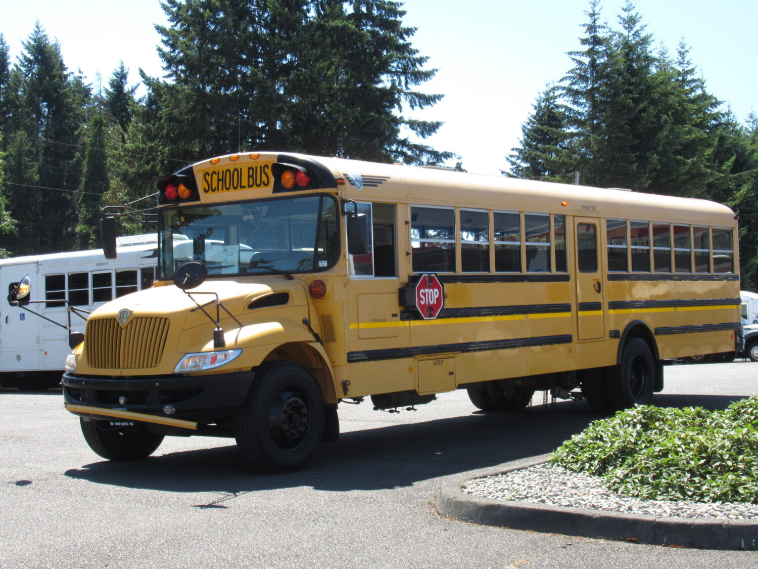 2009 IC CE300 - 12 Row School Bus - B14794 - Image 2