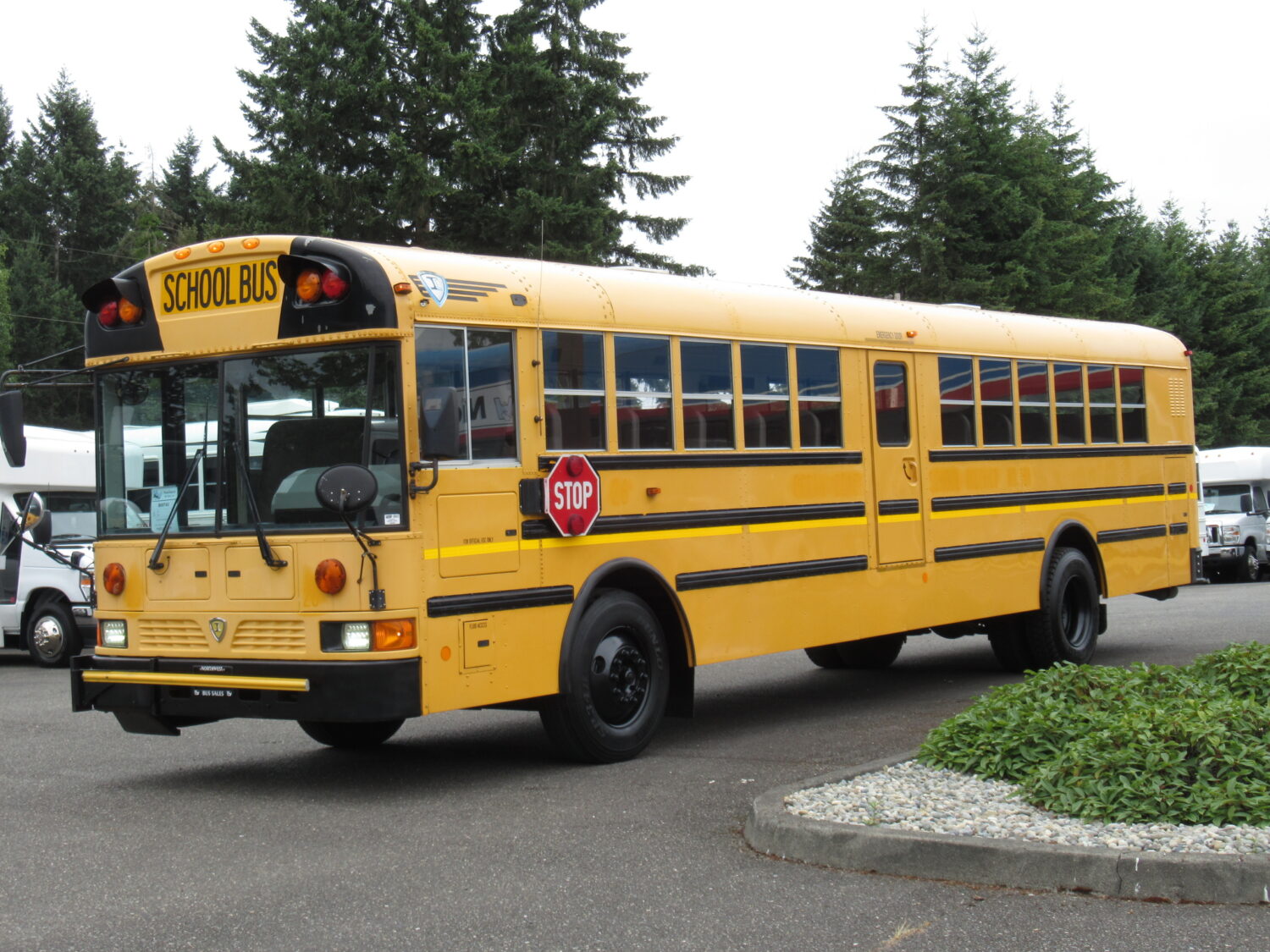 2009 IC RE300 12 Row School Bus - B00743 - Image 2