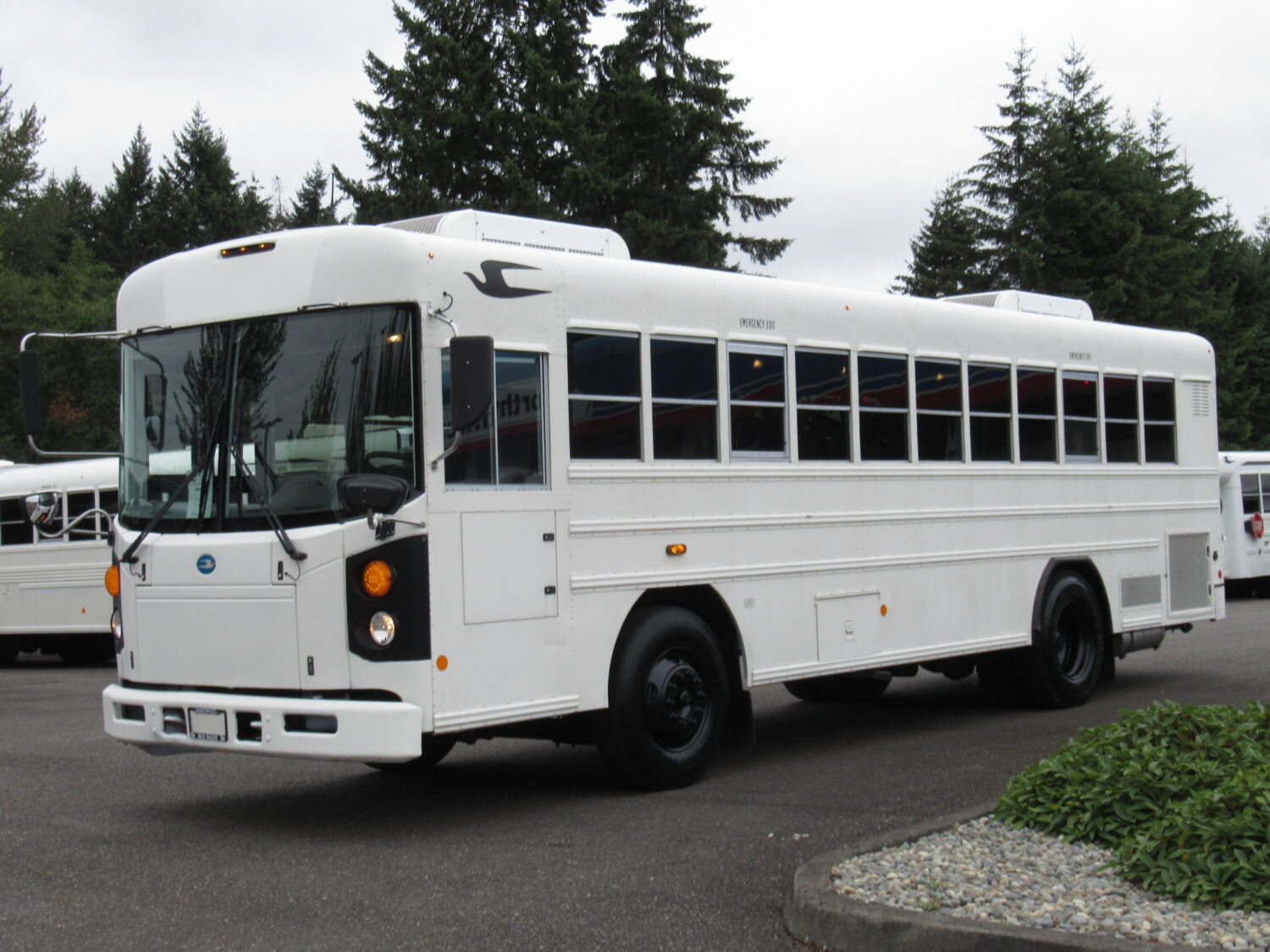 2012 Blue Bird 22 Passenger & 2 Wheelchair Commercial Bus - B84043 - Image 2
