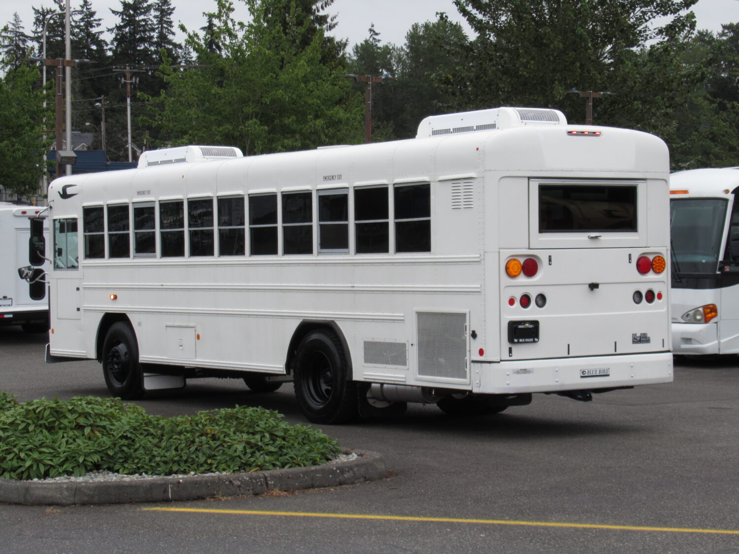 2012 Blue Bird 22 Passenger & 2 Wheelchair Commercial Bus - B84043 - Image 4