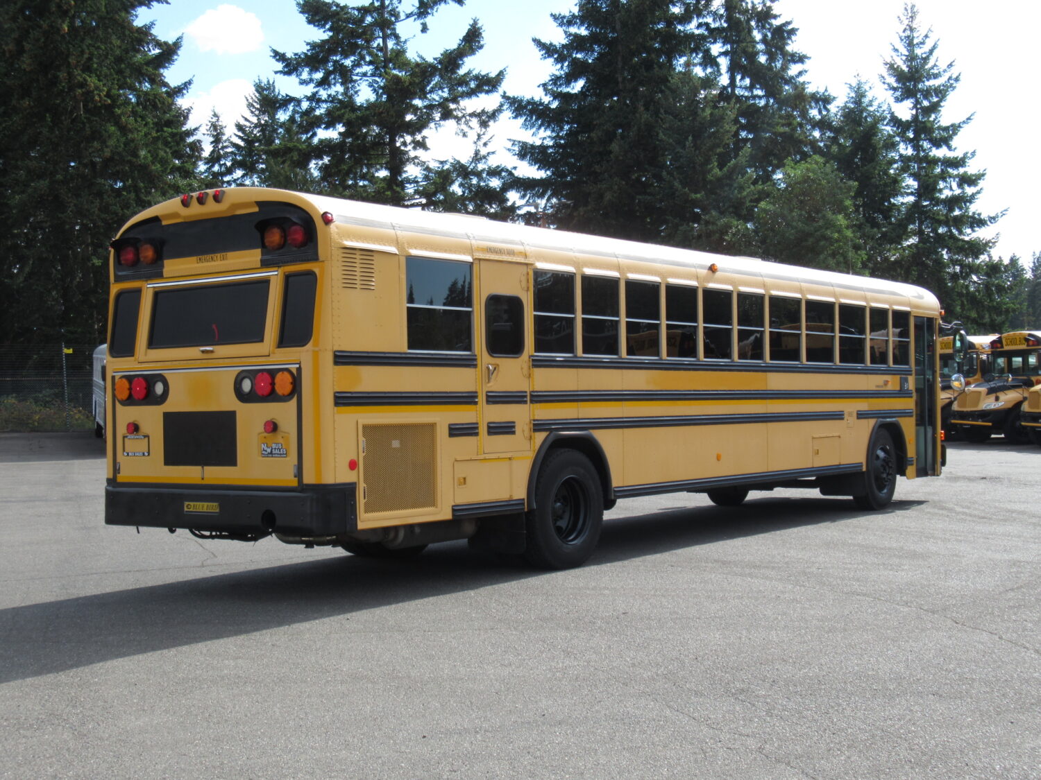2006 Blue Bird All American 78 Passenger School Bus - B34396 - Image 3