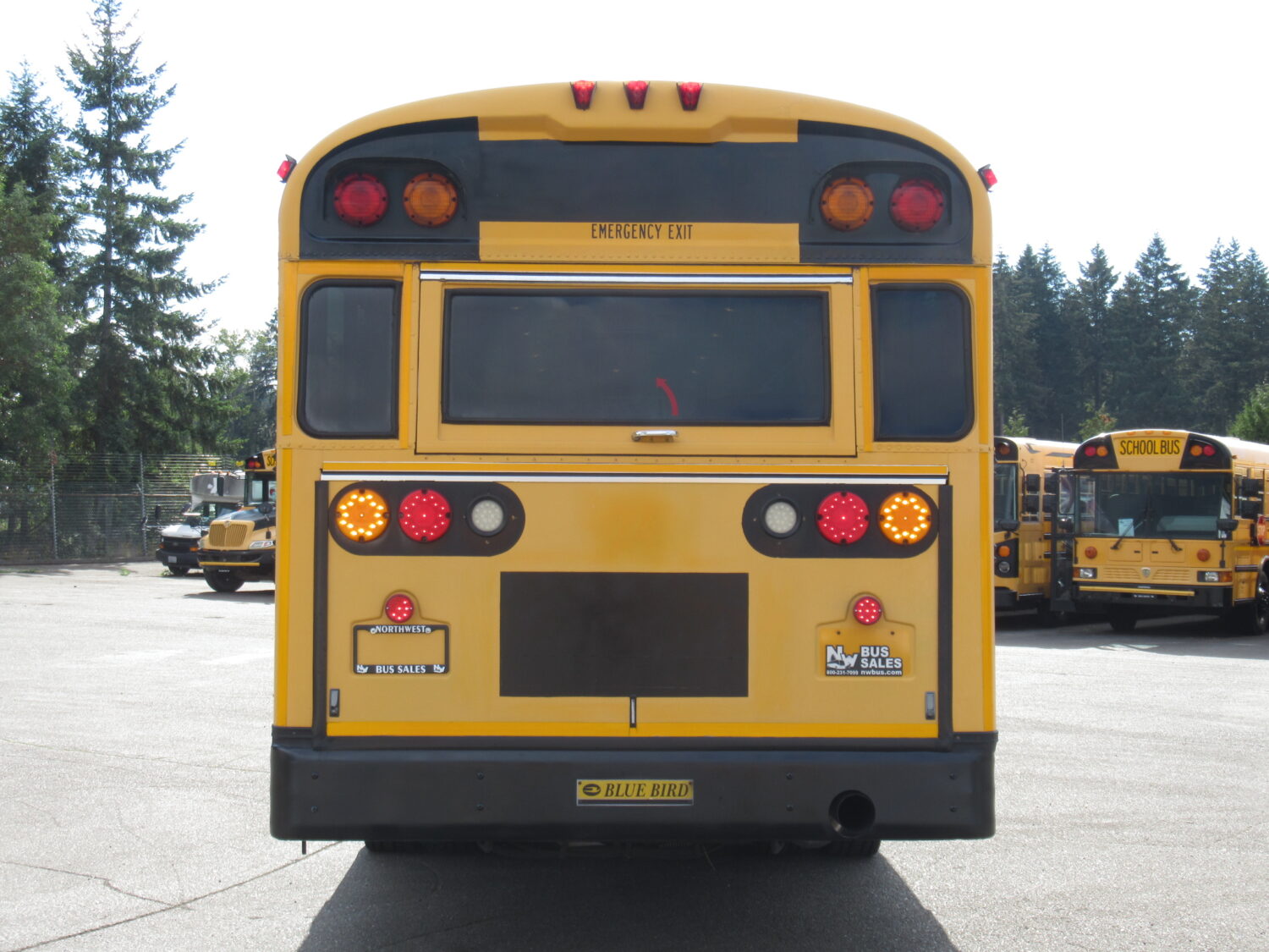 2006 Blue Bird All American 78 Passenger School Bus - B34396 - Image 11