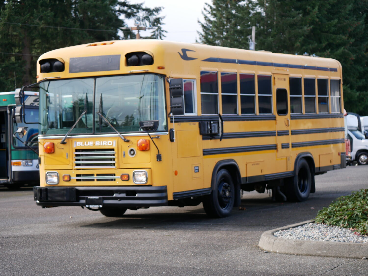 1999 Blue Bird TC-1000 Handy Bus 18 ADA Short School Bus - B82359 - Image 2