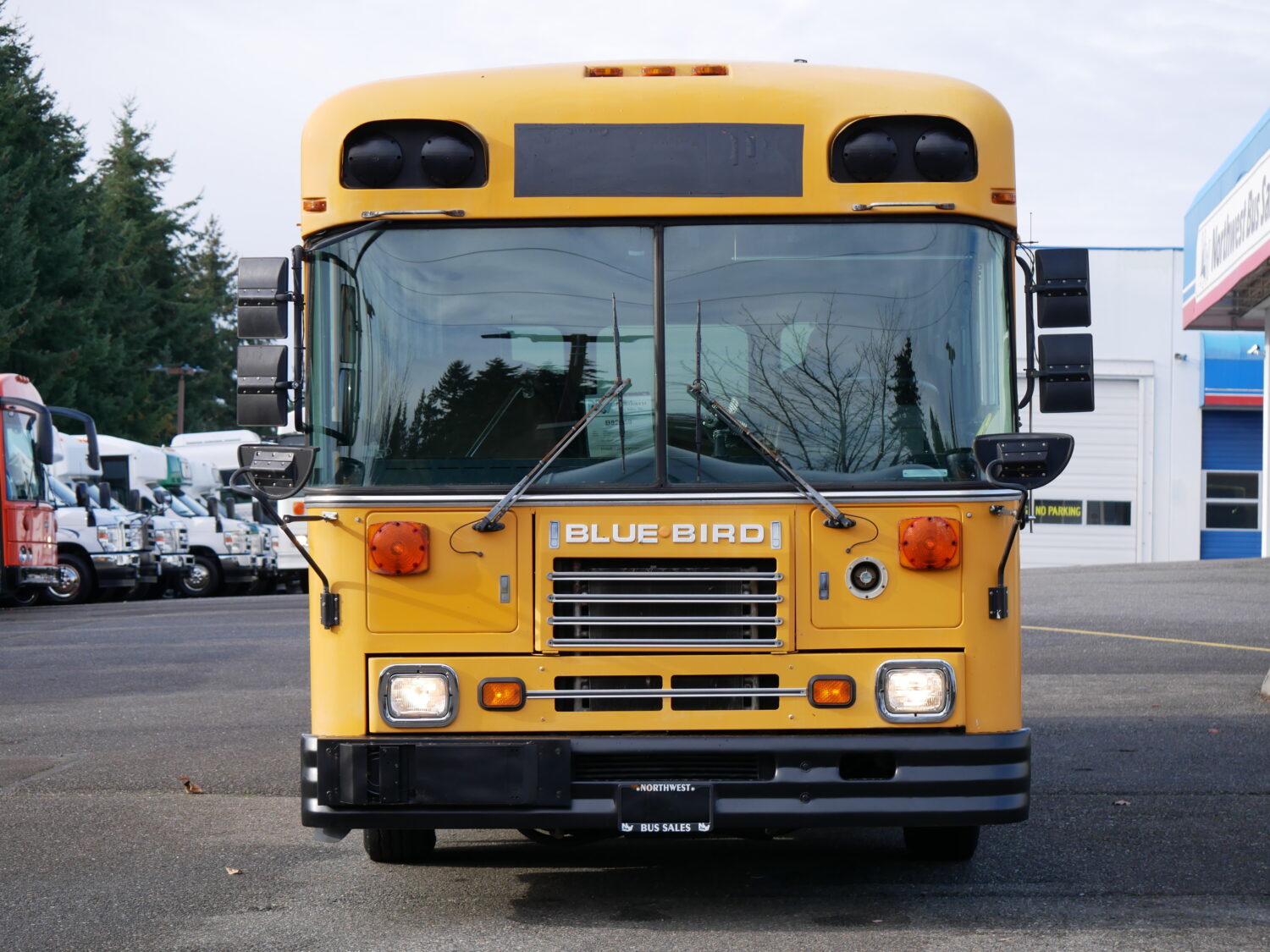 1999 Blue Bird TC-1000 Handy Bus 18 ADA Short School Bus - B82359 - Image 12
