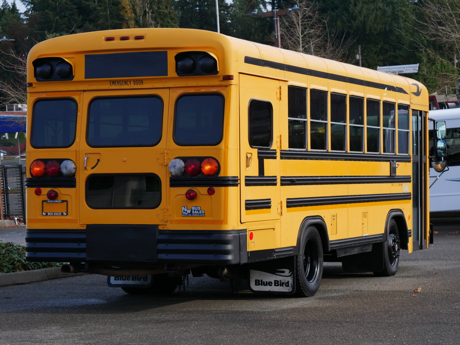 1999 Blue Bird TC-1000 Handy Bus 18 ADA Short School Bus - B82359 - Image 3