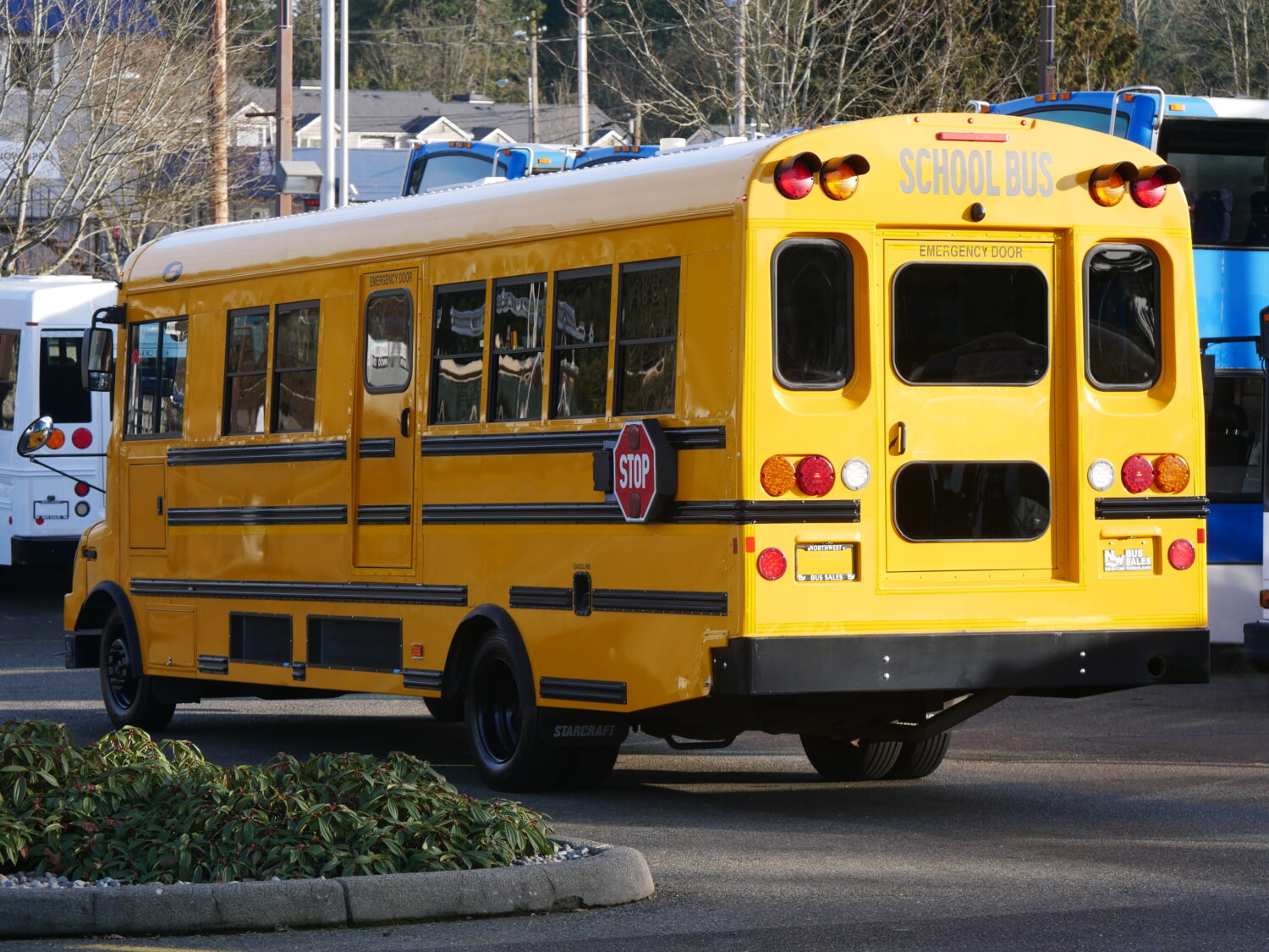 2016 Ford Starcraft Quest XL 35 Passenger Type-B School Bus - B00382 - Image 4