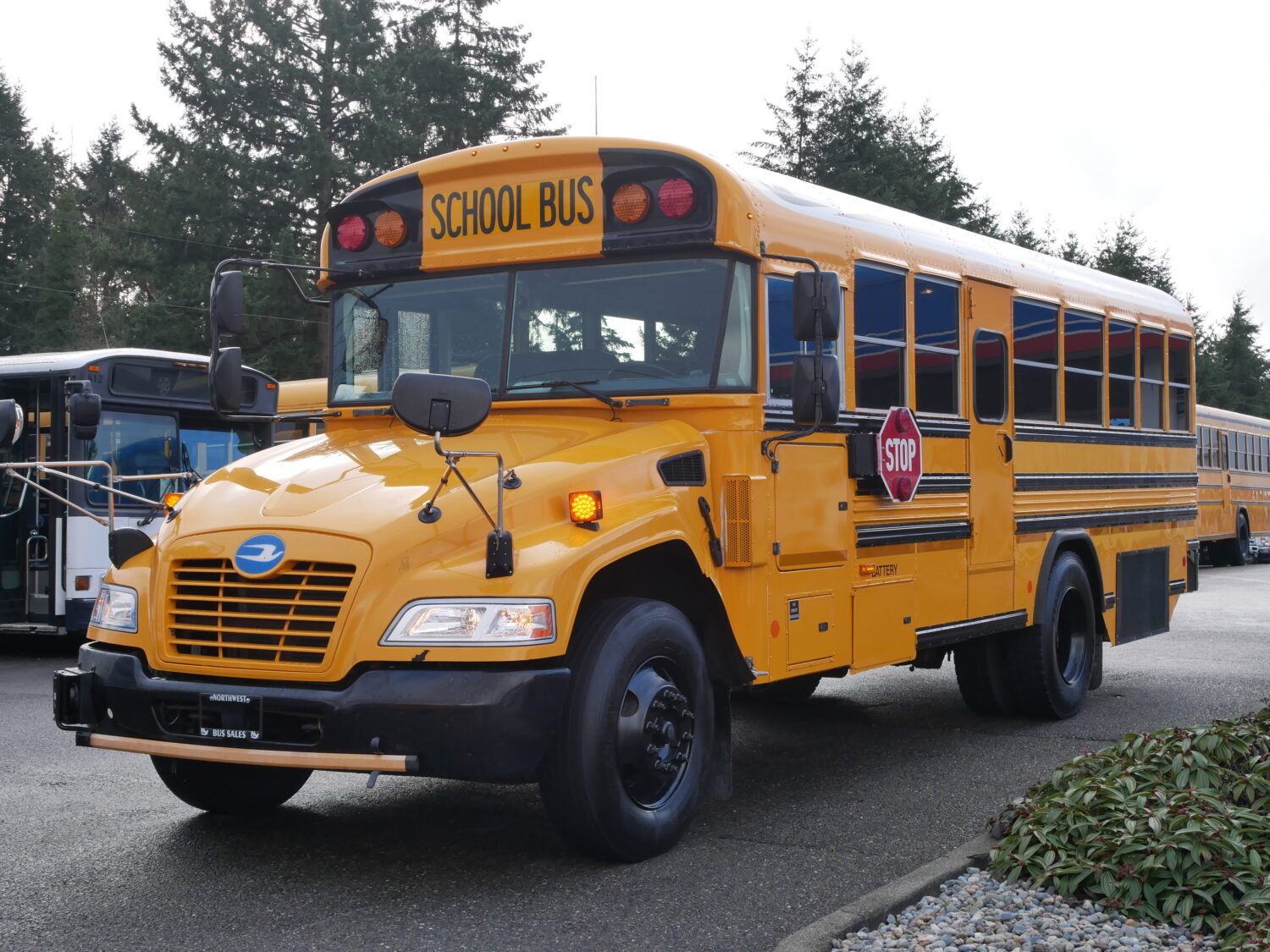 2015 Blue Bird Vision 42 Passenger Short School Bus - B05552 - Image 2