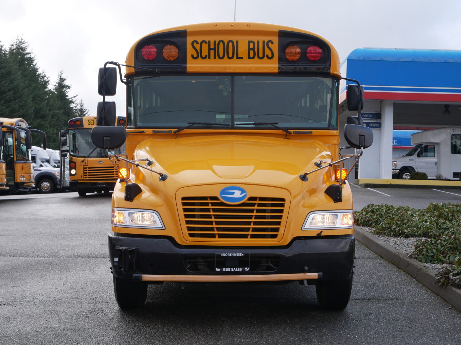 2015 Blue Bird Vision 42 Passenger Short School Bus - B05552 - Image 12
