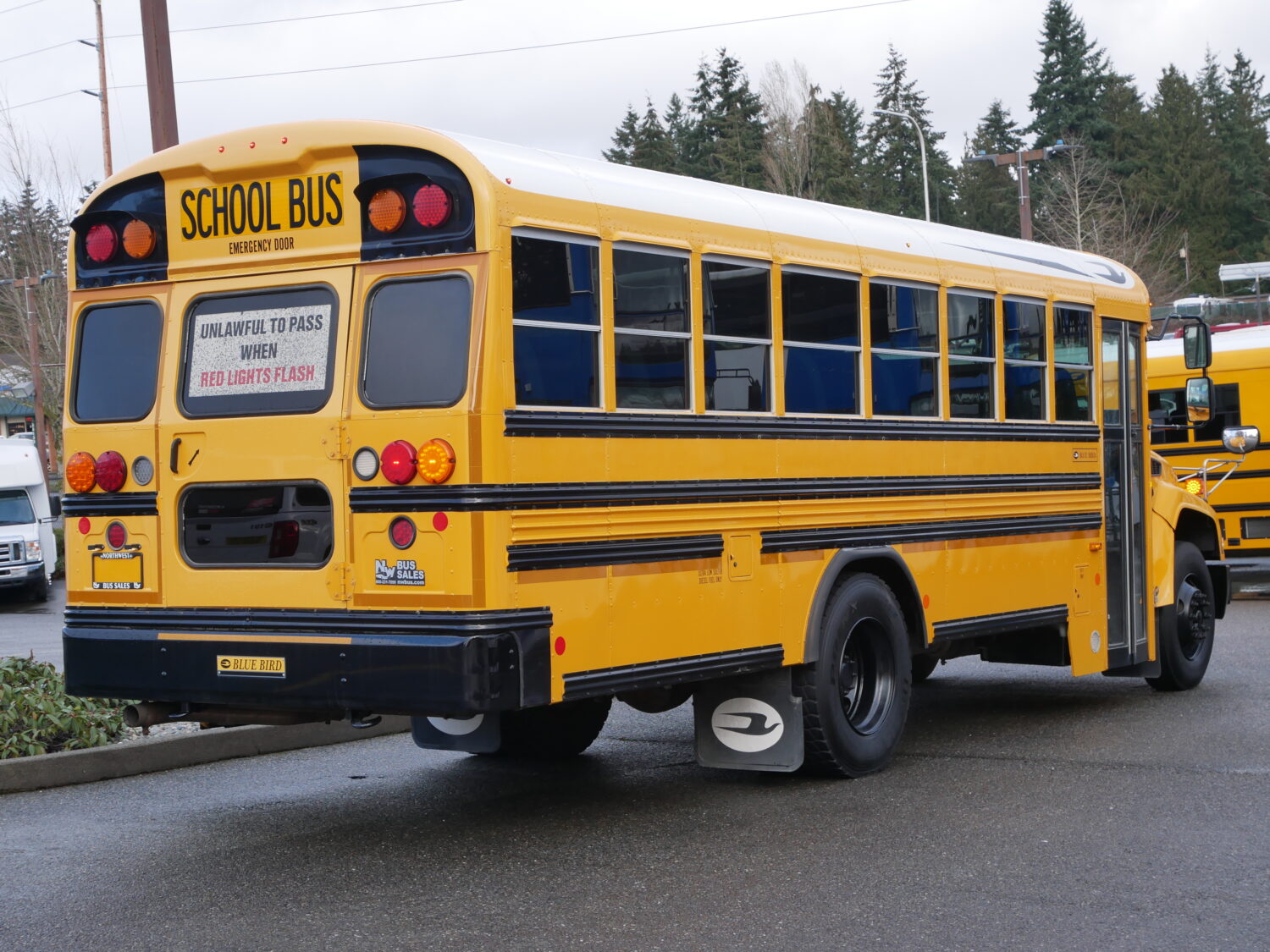 2015 Blue Bird Vision 42 Passenger Short School Bus - B05552 - Image 3