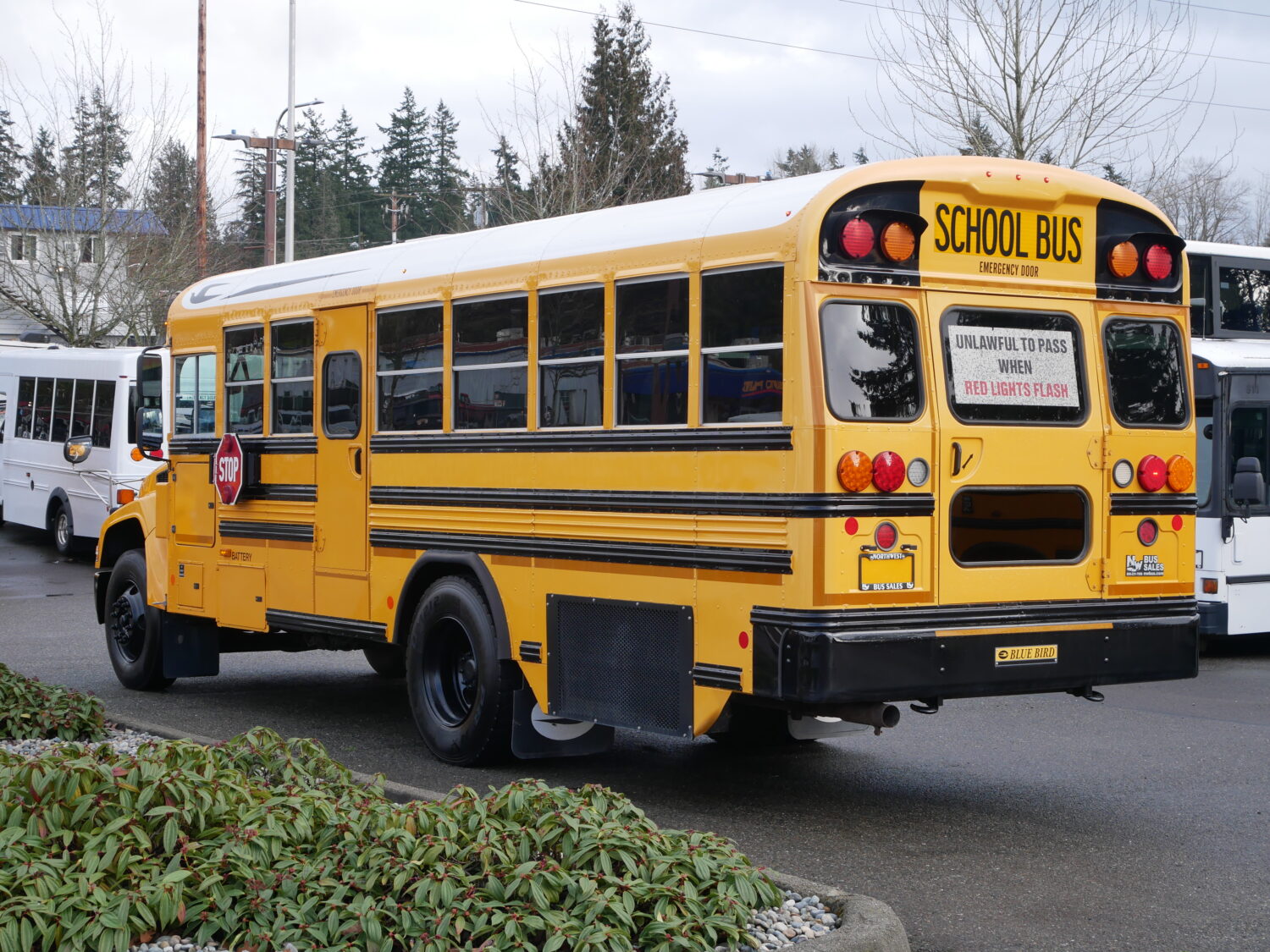 2015 Blue Bird Vision 42 Passenger Short School Bus - B05552 - Image 4