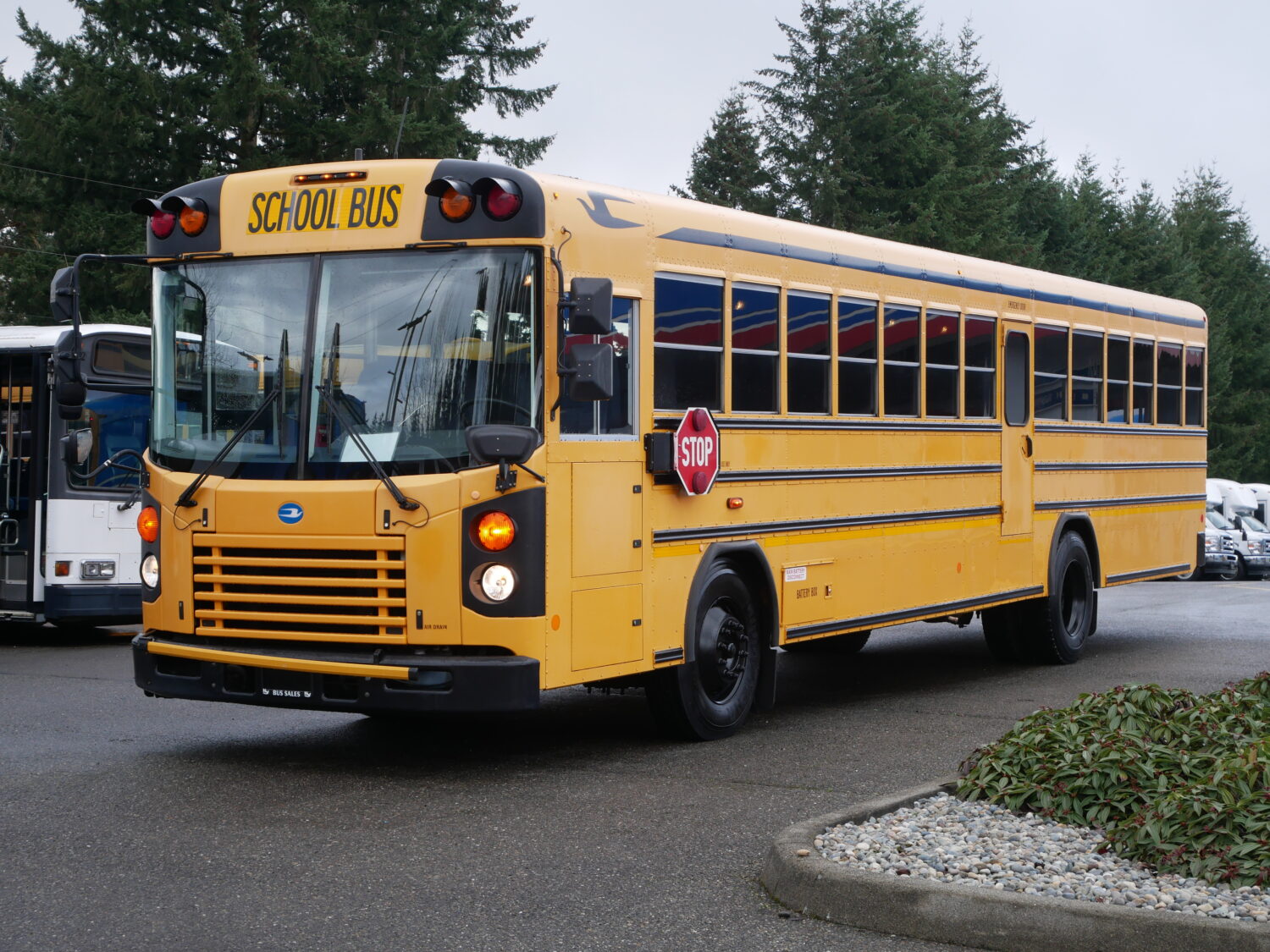 2010 Blue Bird All American 81 Passenger School Bus - B74859 - Image 2