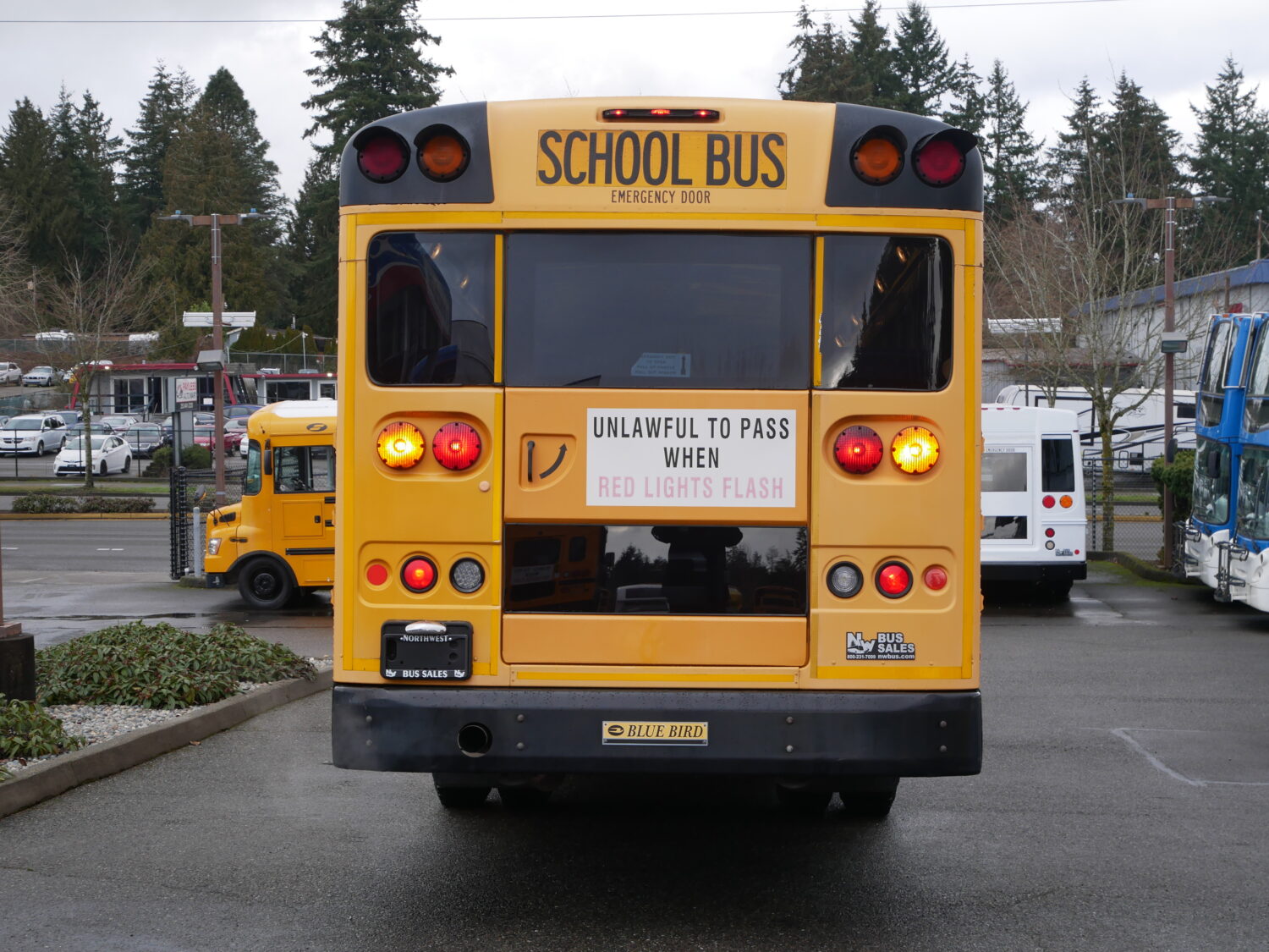 2010 Blue Bird All American 81 Passenger School Bus - B74859 - Image 11