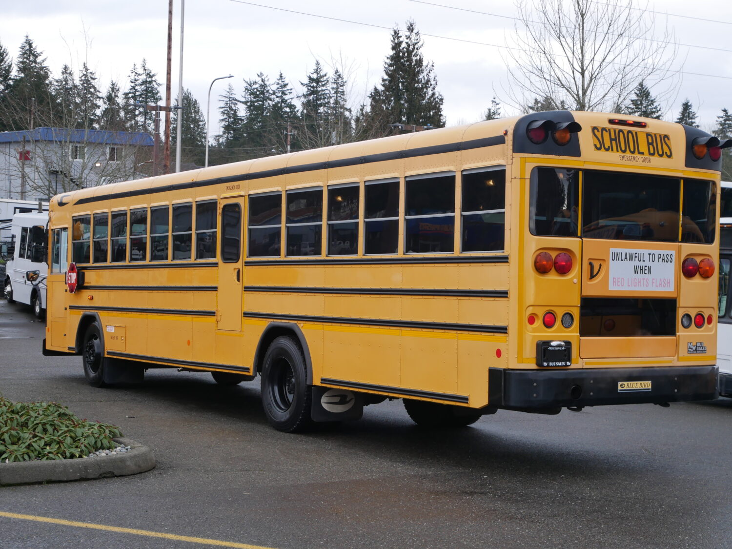 2010 Blue Bird All American 81 Passenger School Bus - B74859 - Image 4