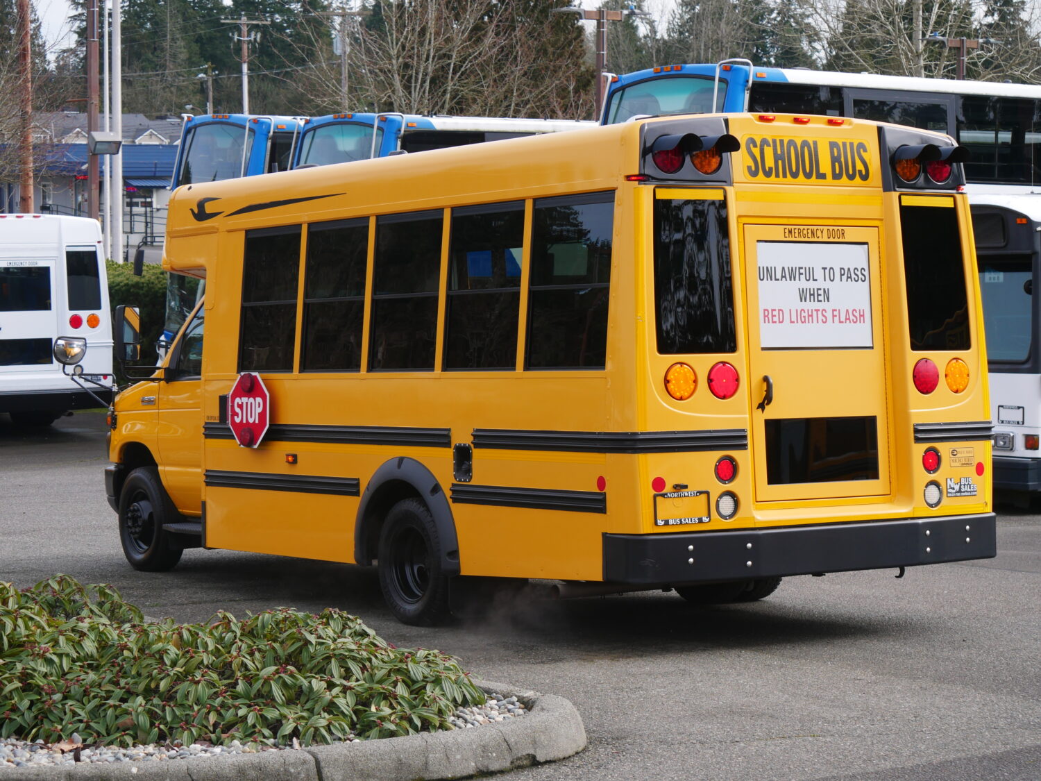 2016 Ford Bluebird Microbird Girardin 18 Passenger Type-A School Bus - B05334 - Image 4