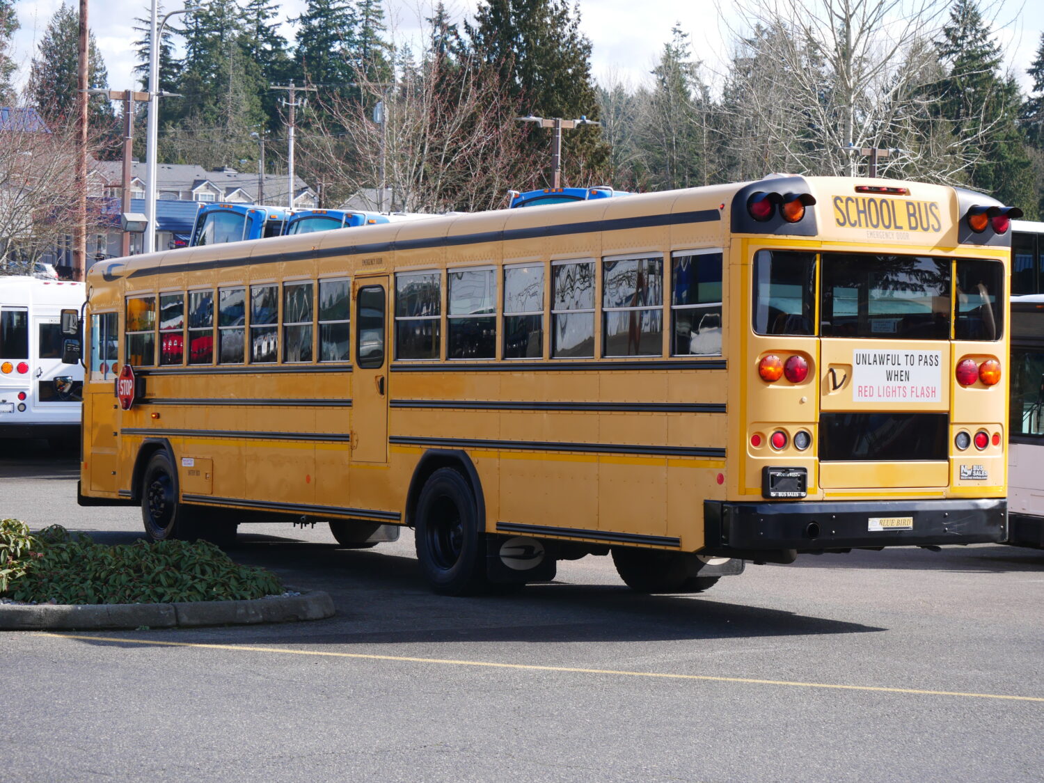 2010 Blue Bird All American 81 Passenger School Bus - B74858 - Image 4