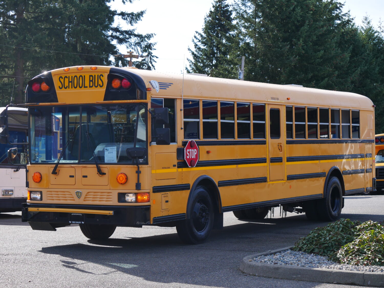 2011 IC RE300 13 Row School Bus - B09016 - Image 2