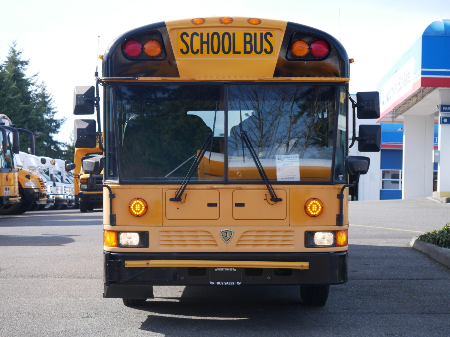 2011 IC RE300 13 Row School Bus - B09016 - Image 12