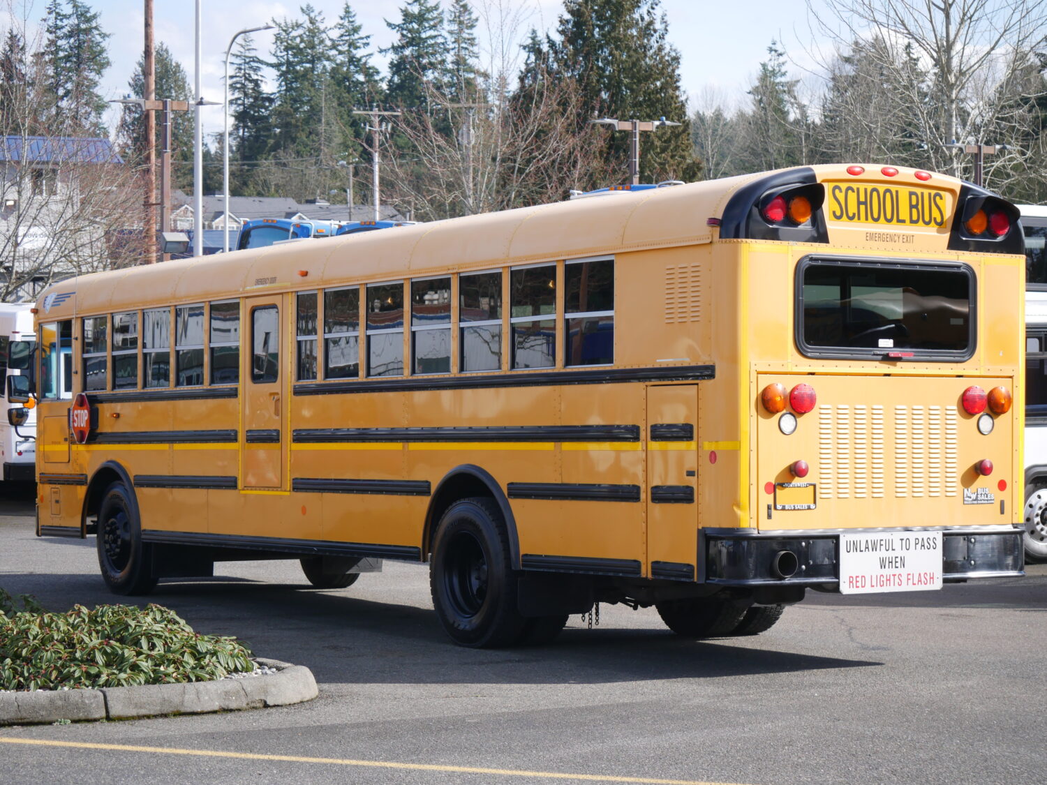 2011 IC RE300 13 Row School Bus - B09016 - Image 4